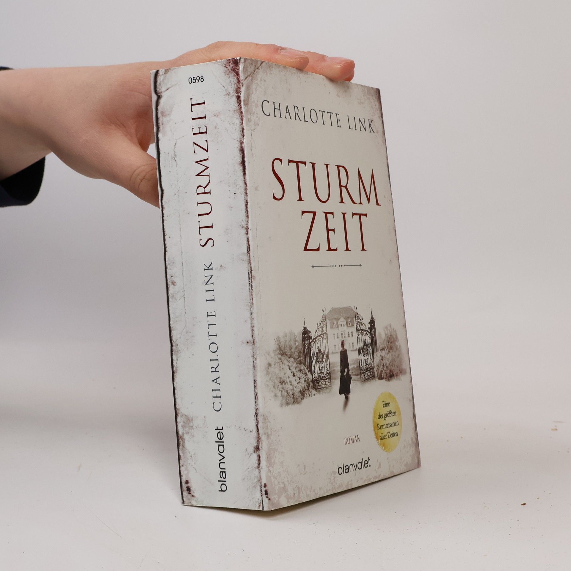 Charlotte Link Sturmzeit