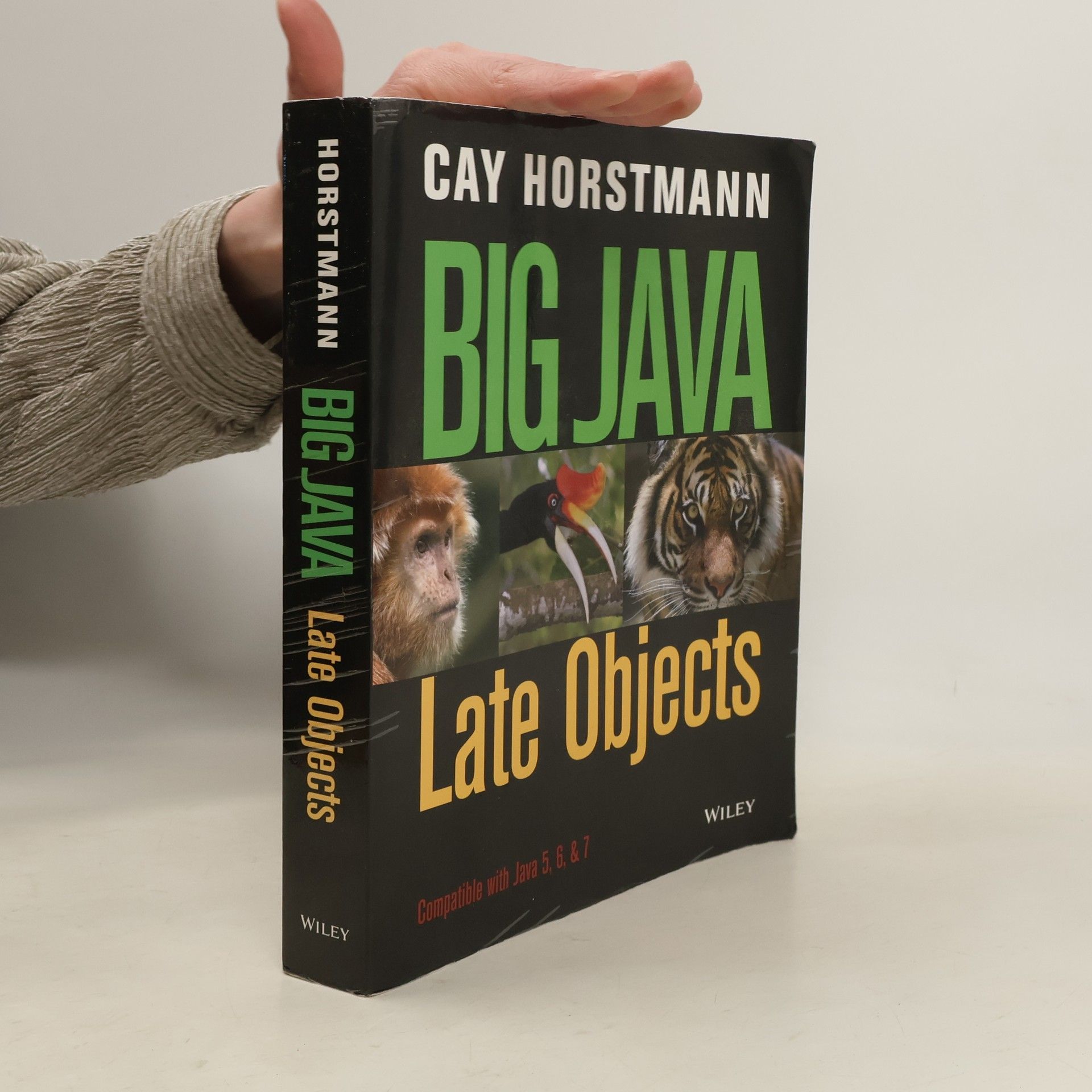 Cay S. Horstmann Big Java