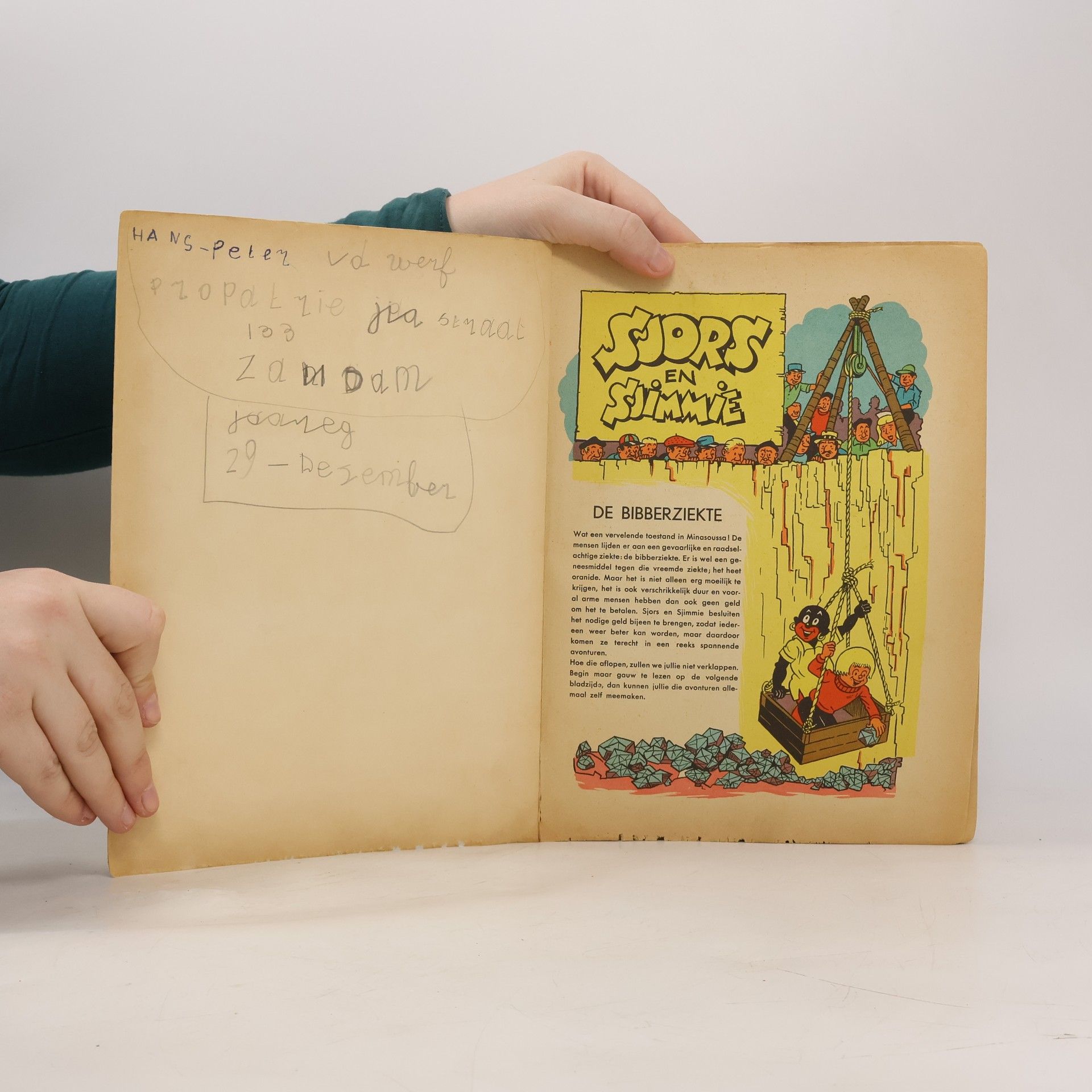 Autorenkollektiv Sjors en Sjimmie - De Bibberziekte