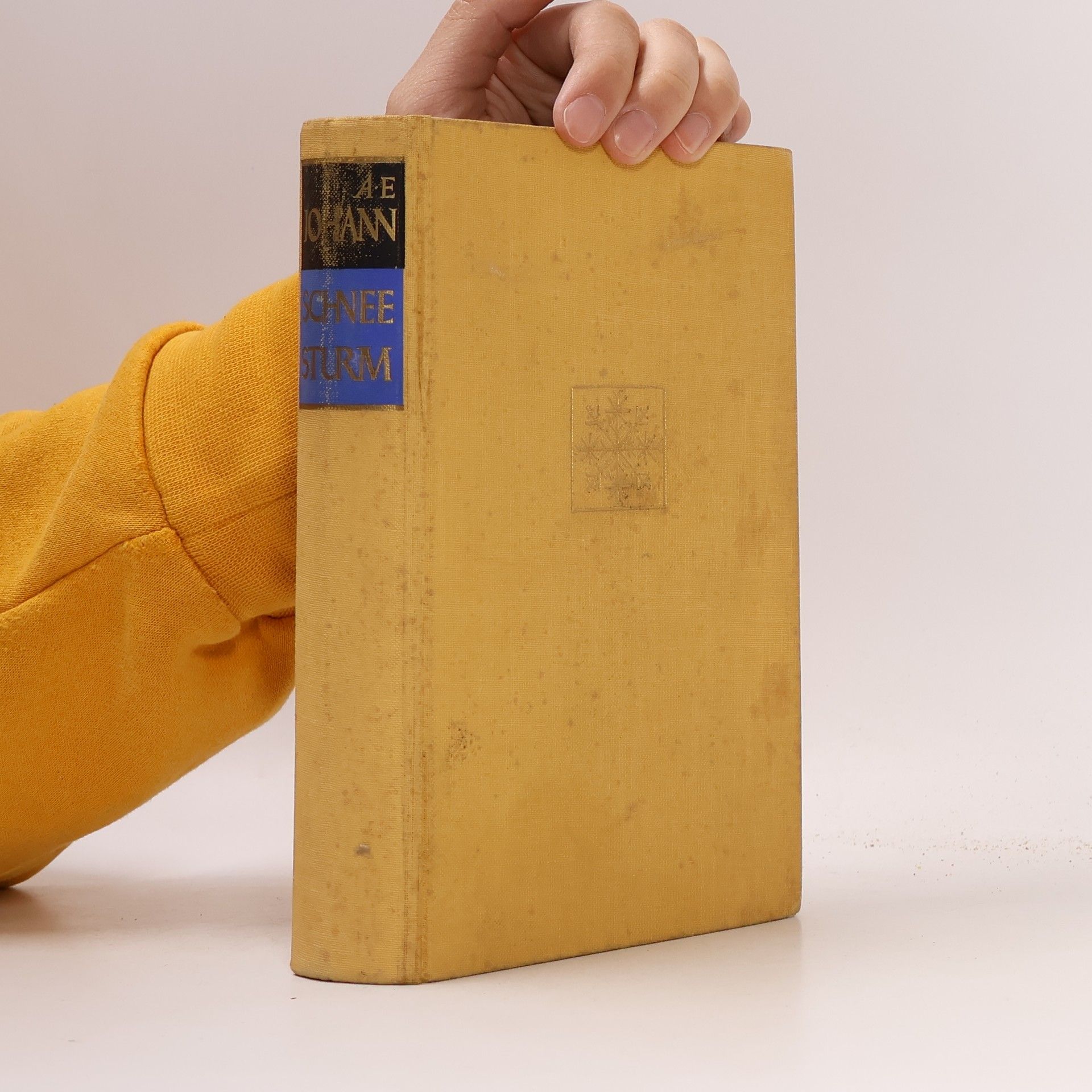 Alfred E. Johann Schnee Sturm