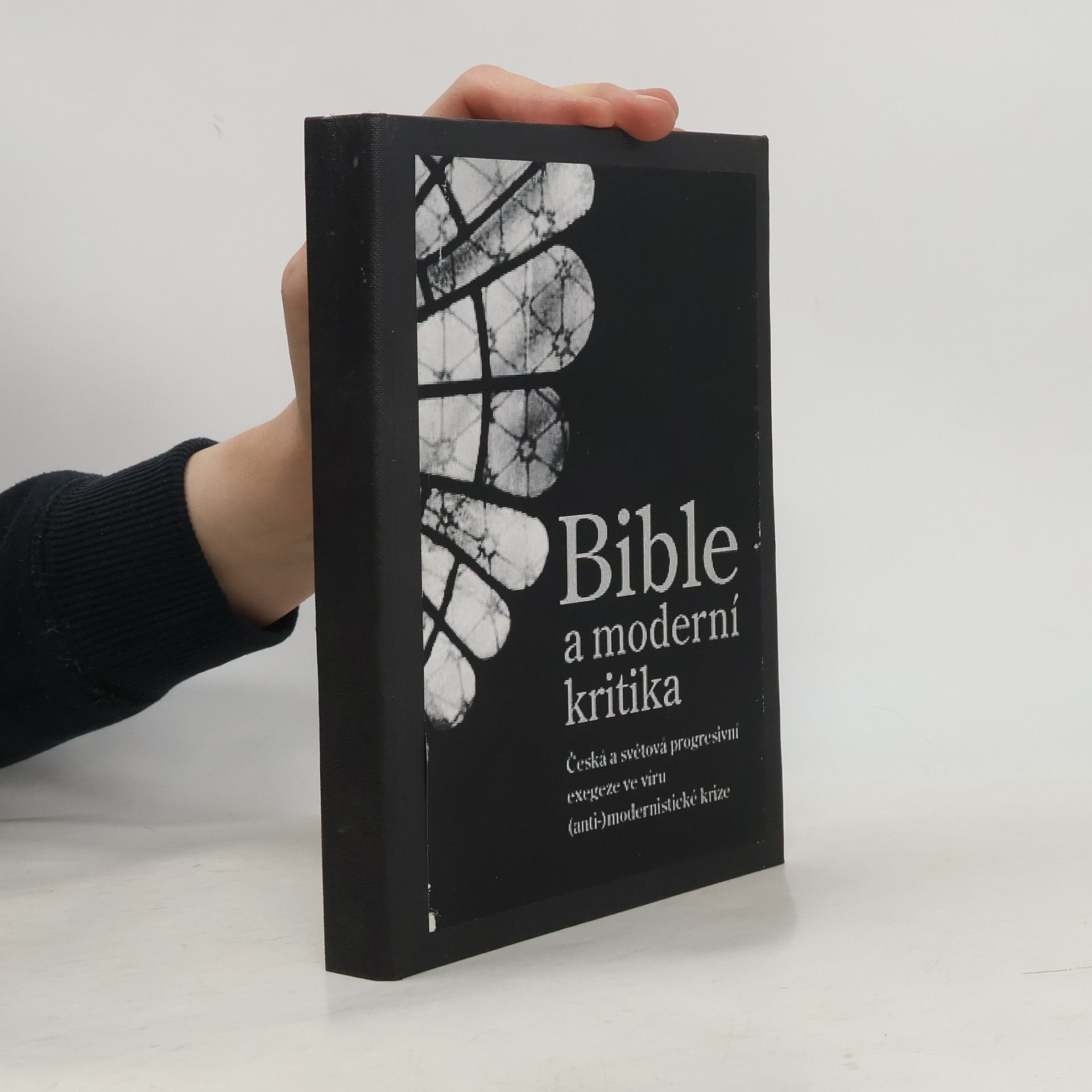 Tomáš Petráček Bible a moderní kritika