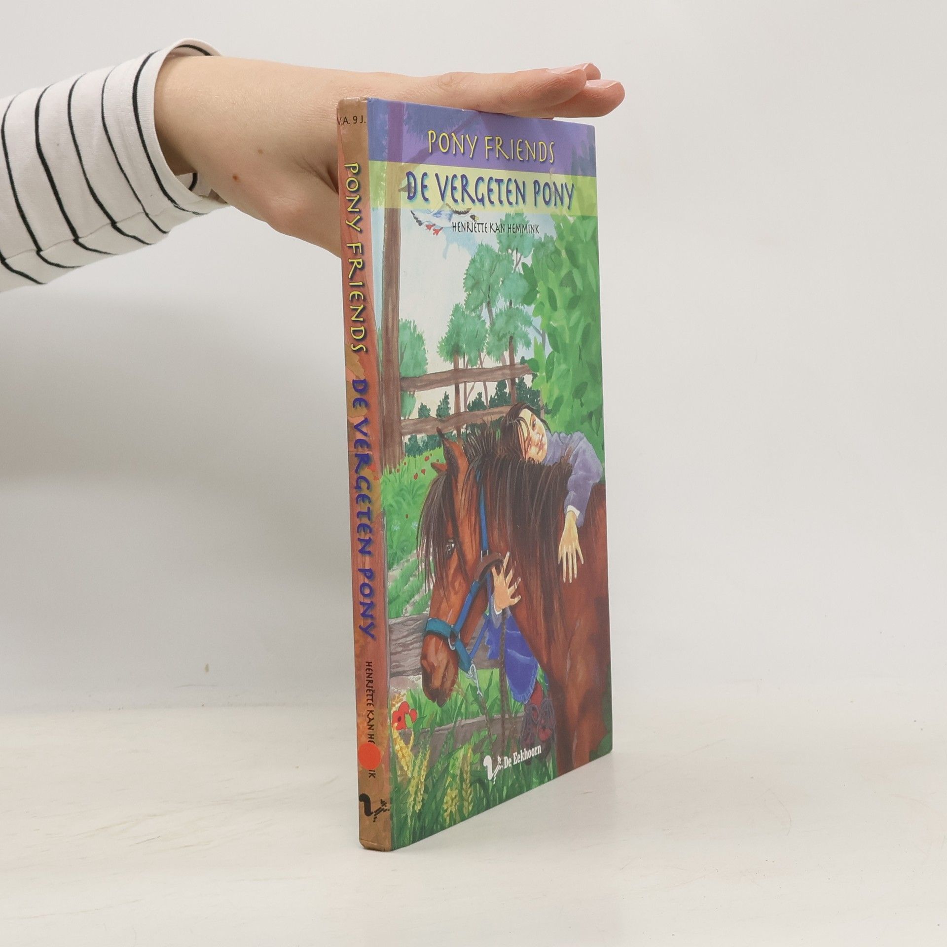 Henriette Kan Hemmink Pony Friends: De vergeten pony