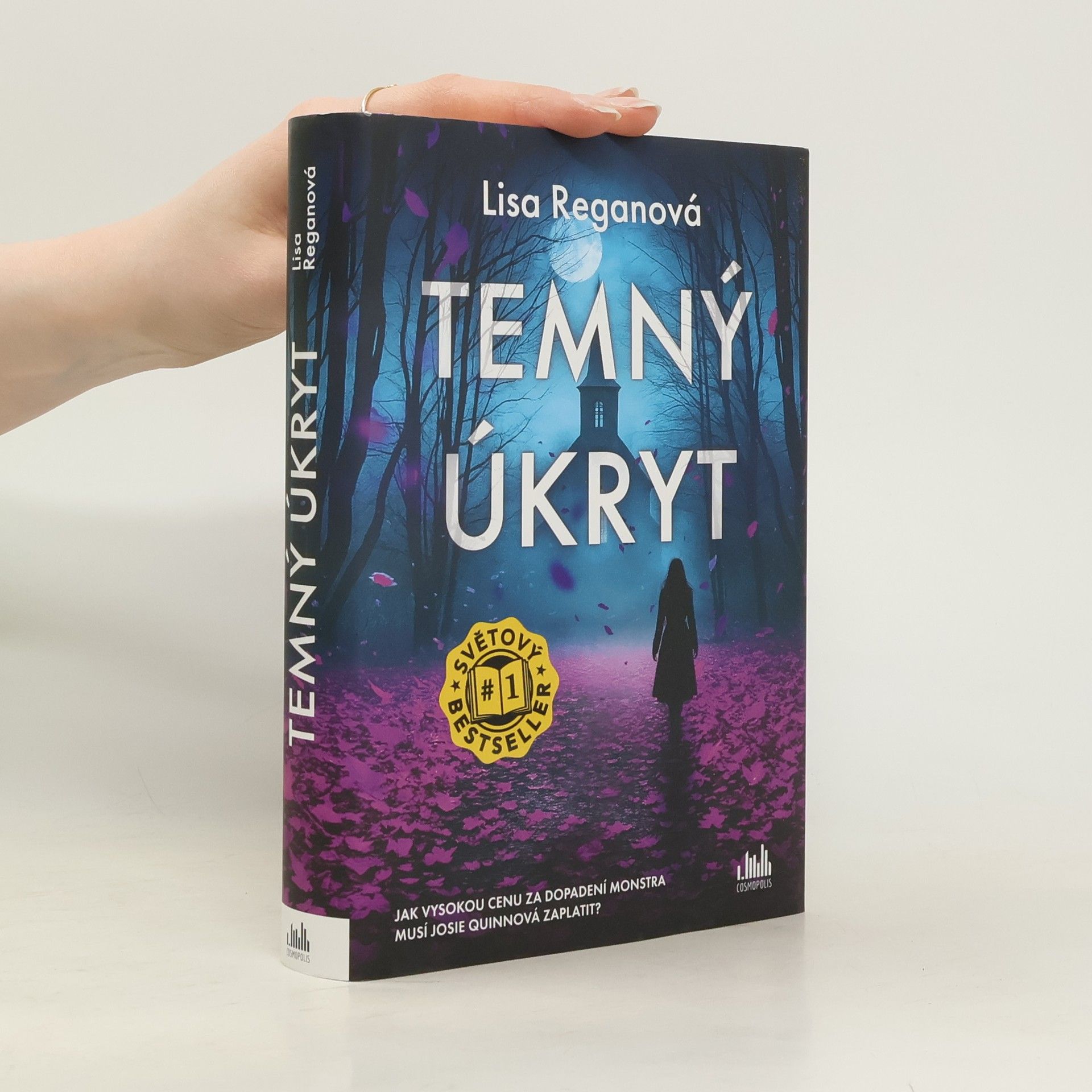 Lisa Regan Temný úkryt