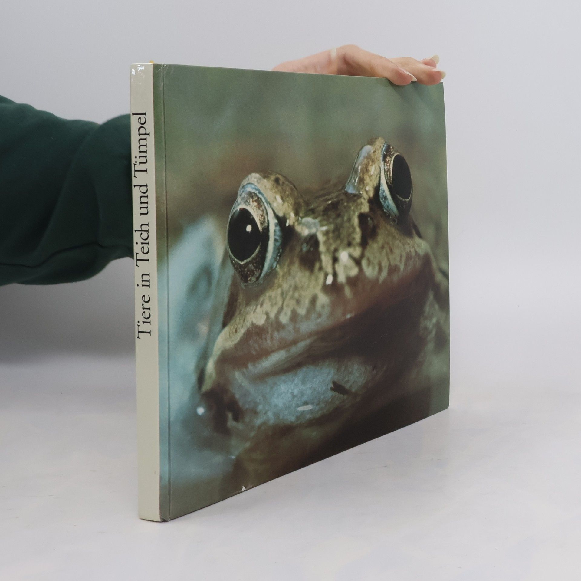 Klaus Paysan Tiere in Teich und Tümpel