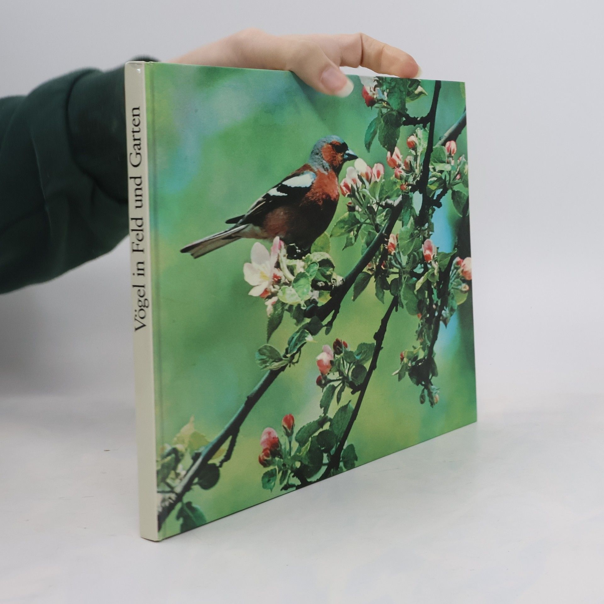 Klaus Paysan Vögel in Feld und Garten