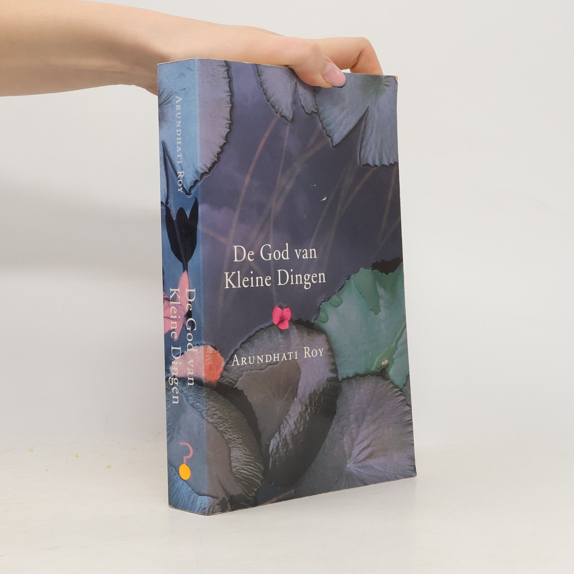 Arundhati Roy De God van Kleine Dingen