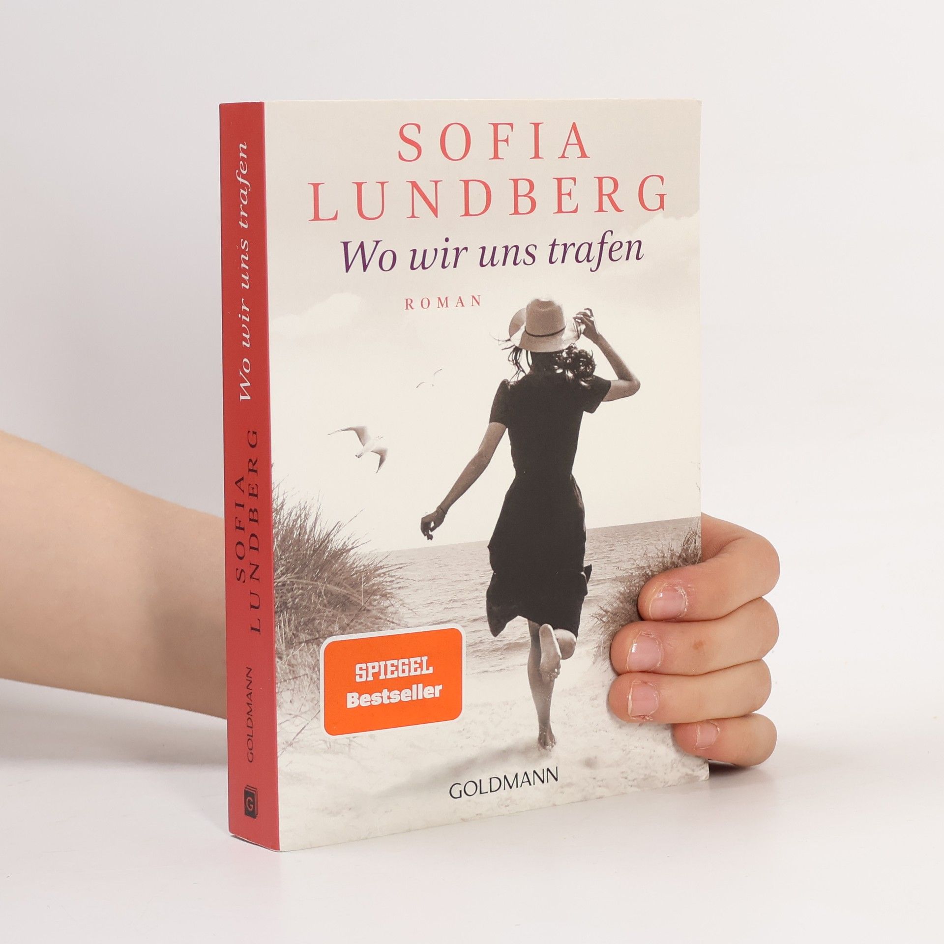 Sofia Lundberg Wo wir uns trafen