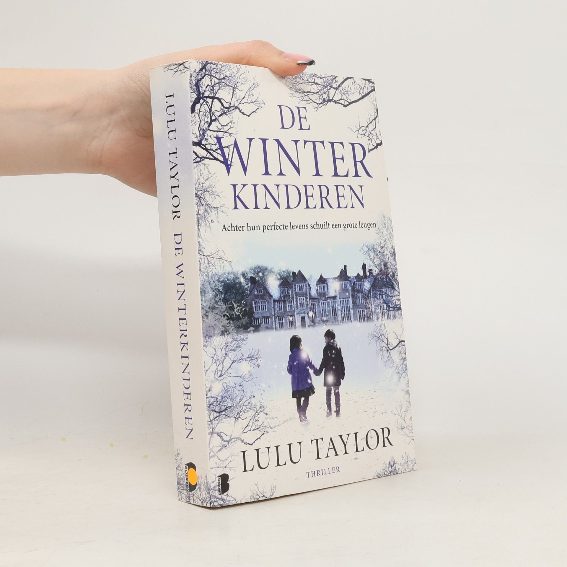 Lulu Taylor De winterkinderen