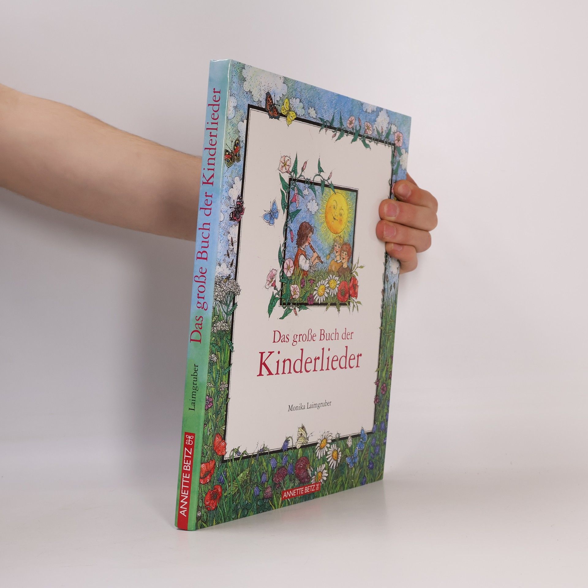 Das grosse Buch der Kinderlieder