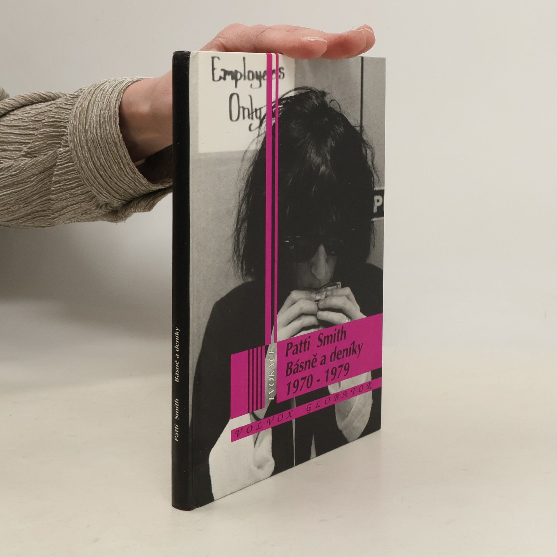 Patti Smith Básně a deníky: 1970-1979