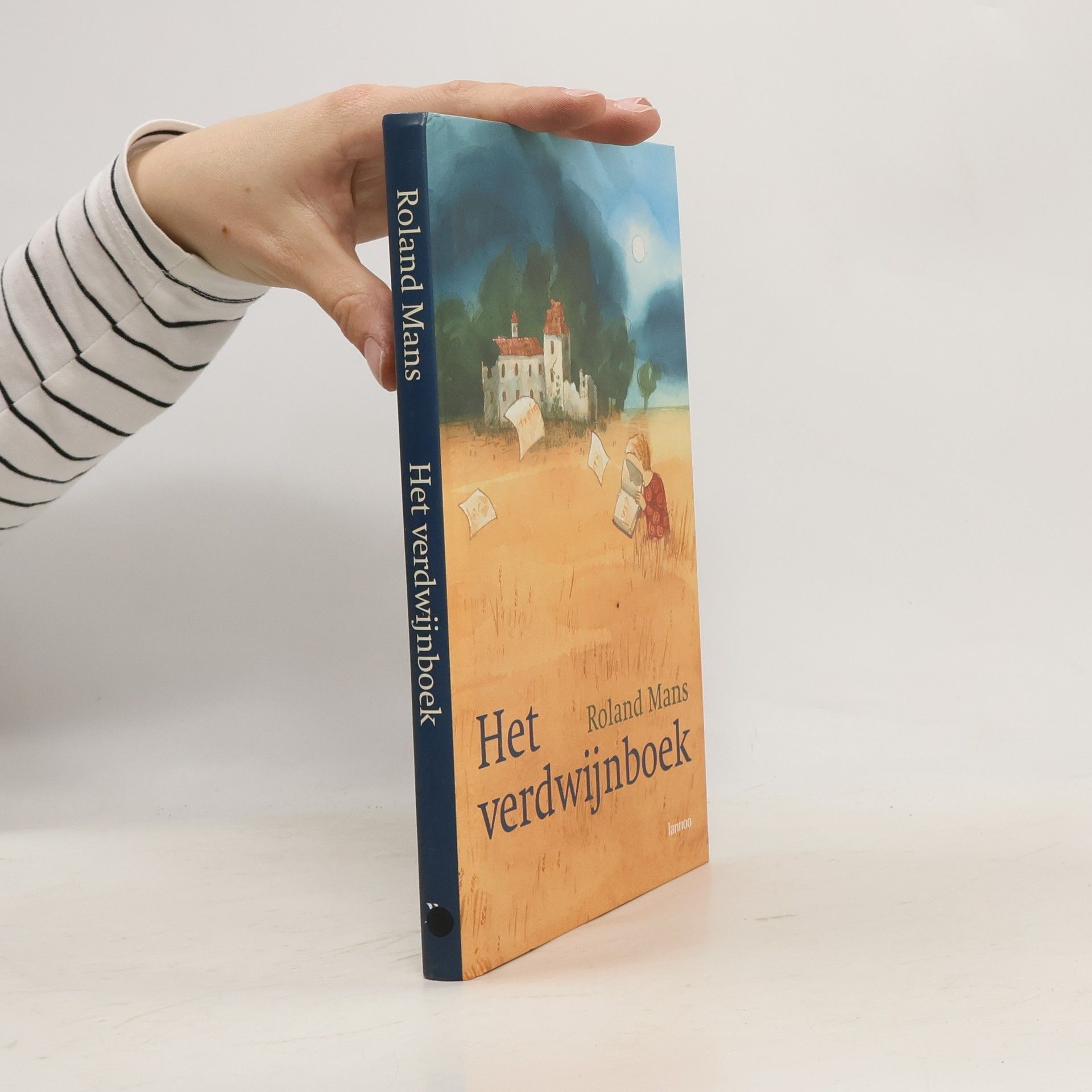 Roland Manseder Het verdwijnboek