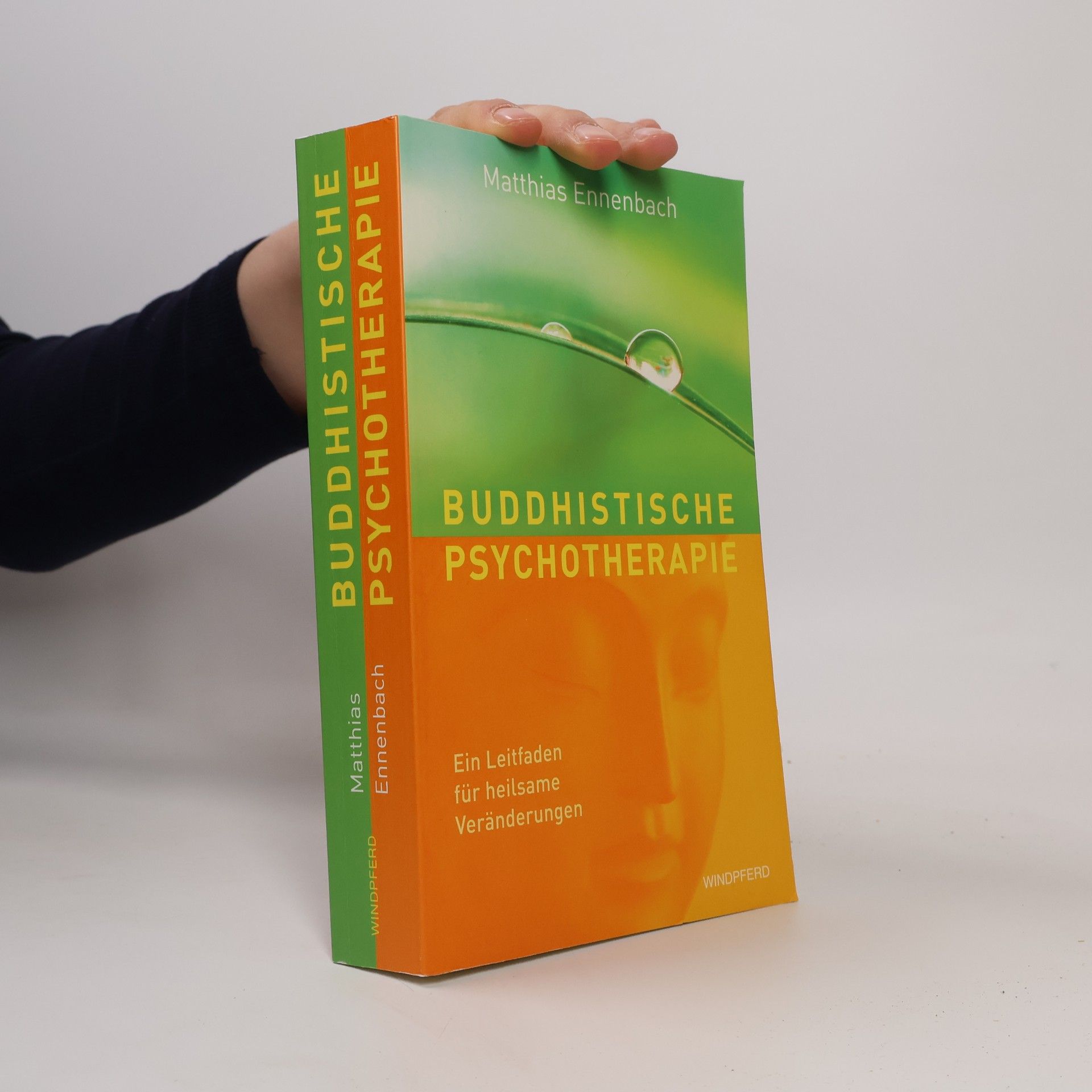 Matthias Ennenbach Buddhistische Psychotherapie