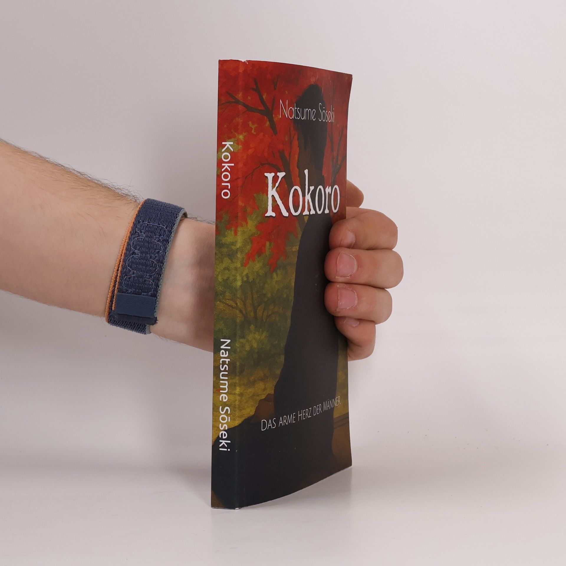 Sōseki Natsume Kokoro: Das arme Herz der Männer