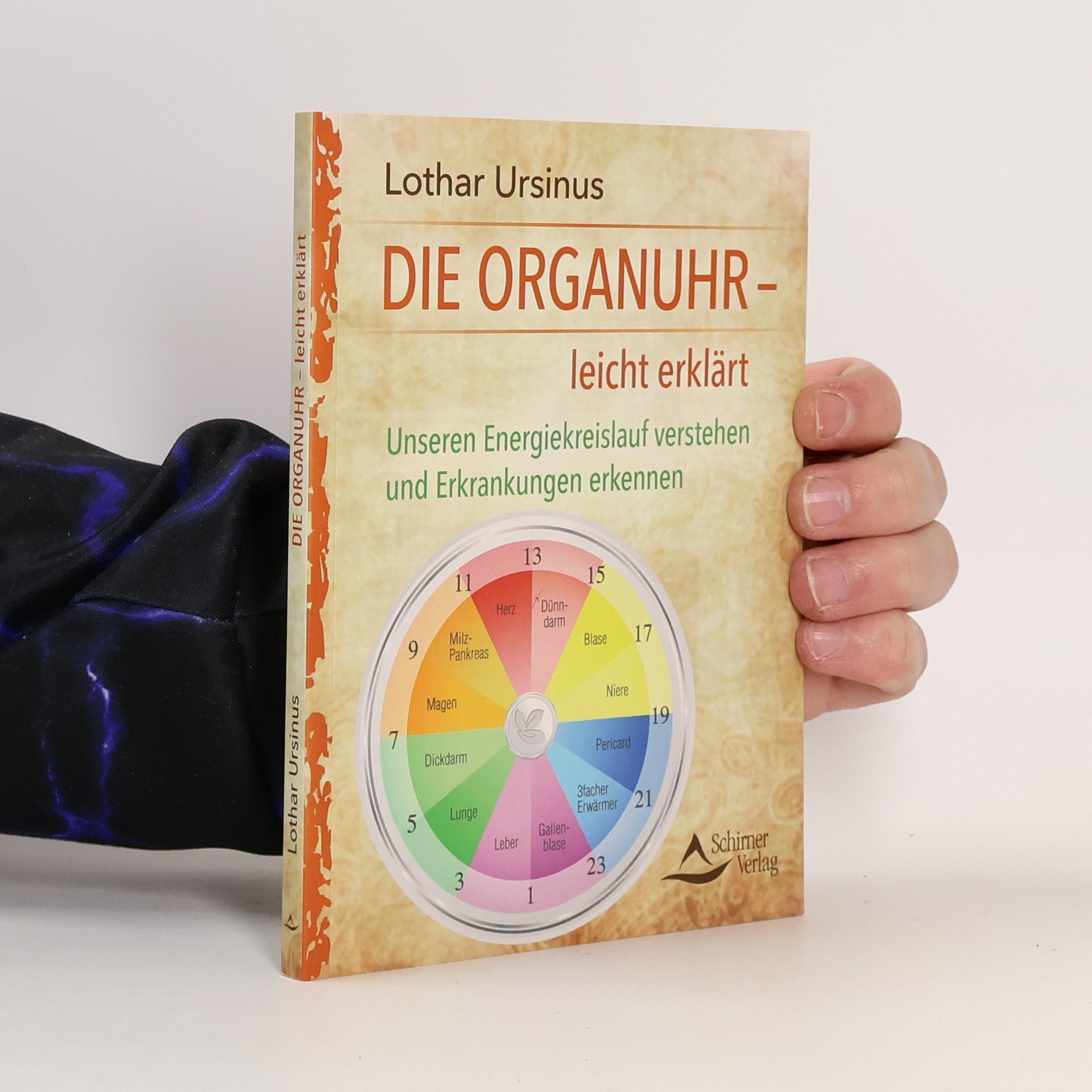 Lothar Ursinus Die Organuhr – leicht erklärt