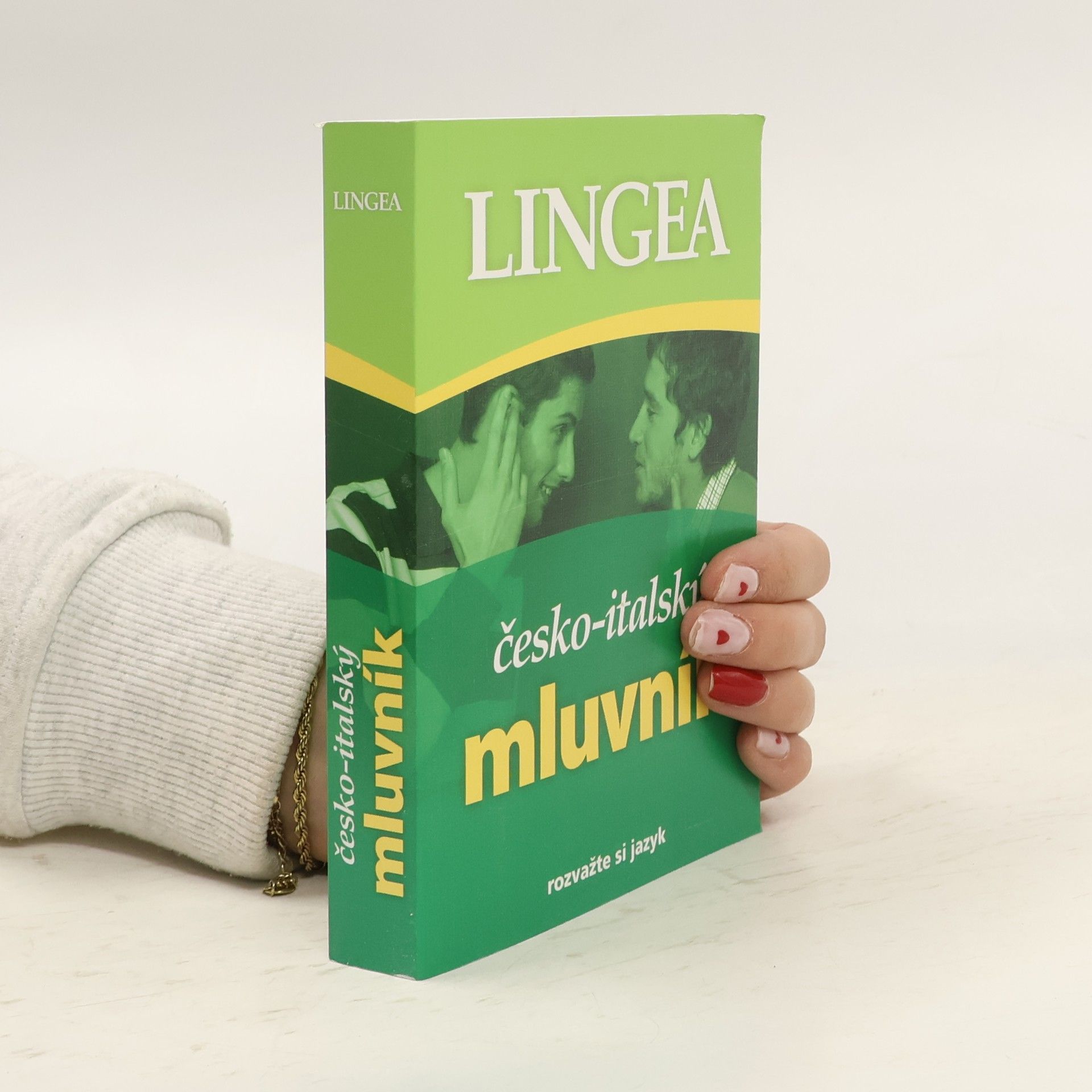 Autorenkollektiv Česko-italský mluvník