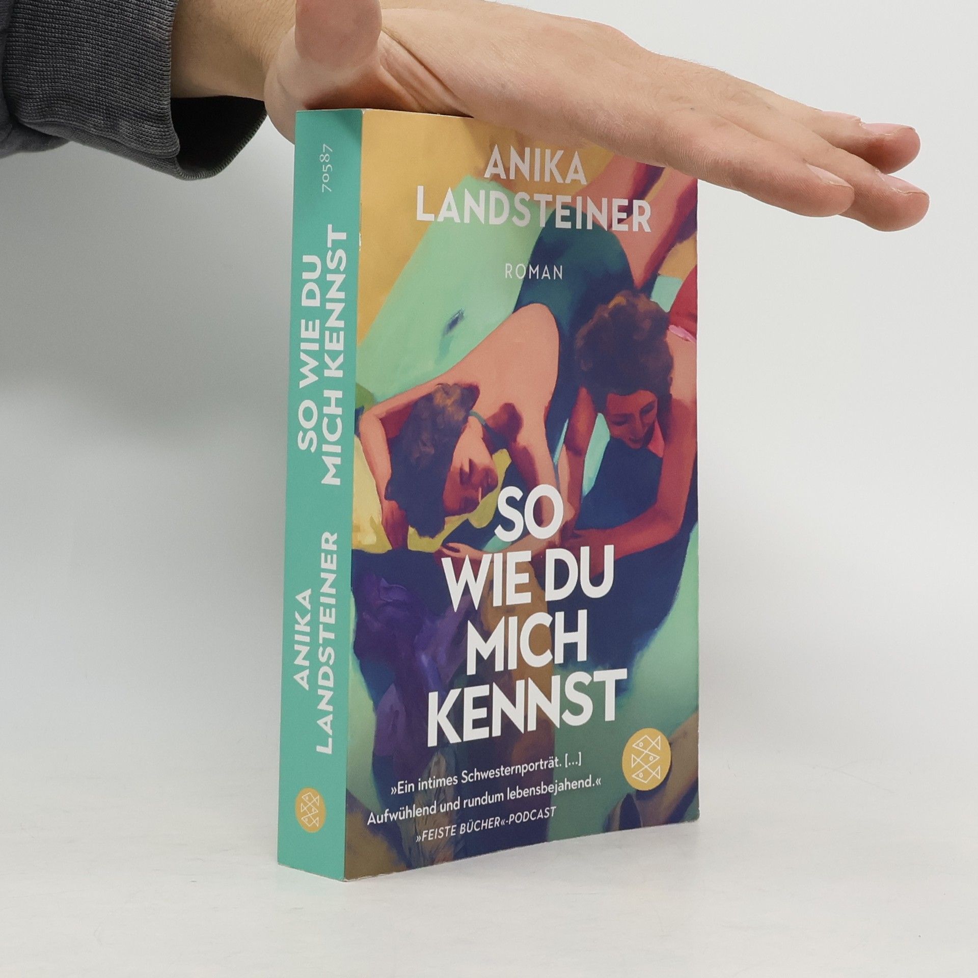 Anika Landsteiner So wie du mich kennst