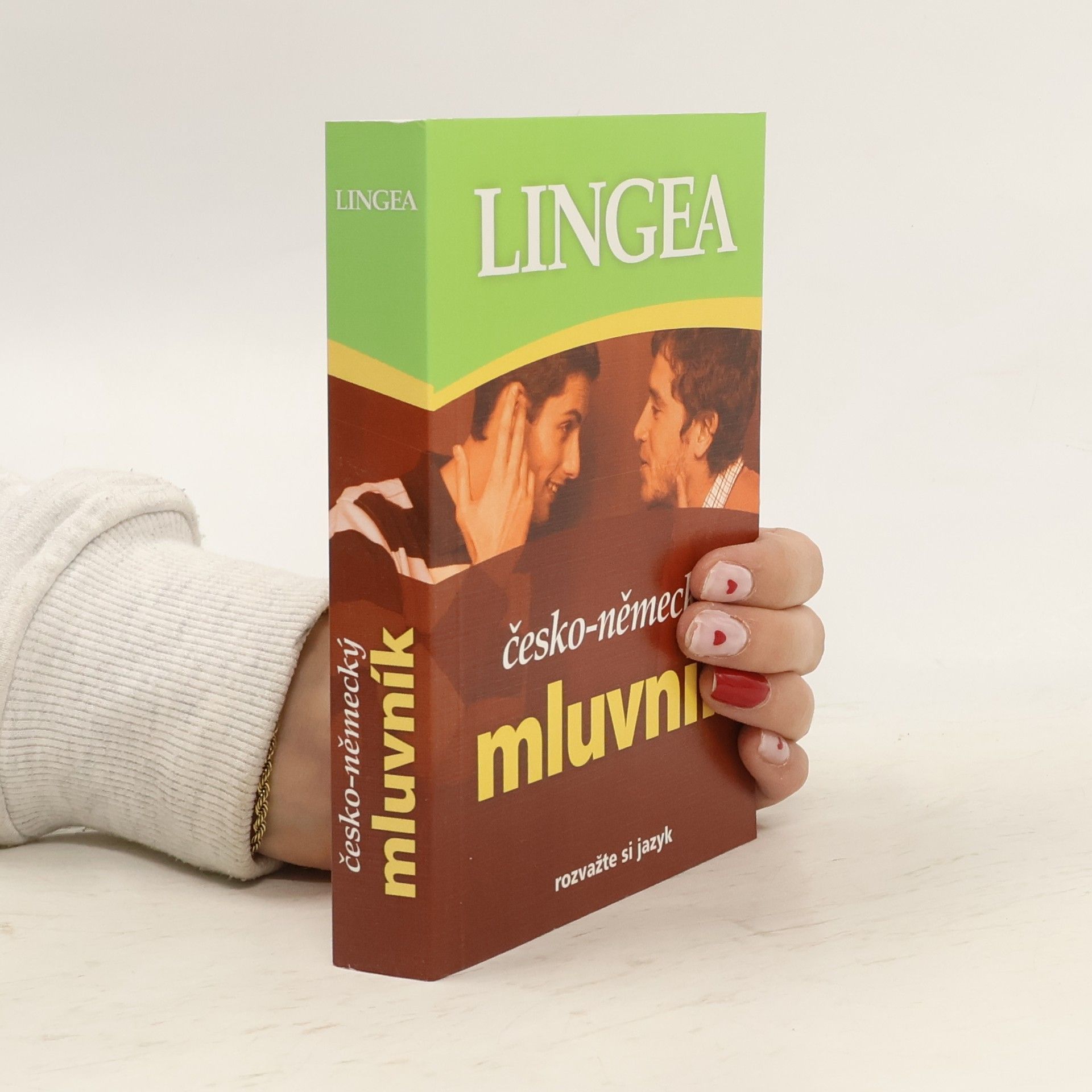 Autorenkollektiv Česko-německý mluvník