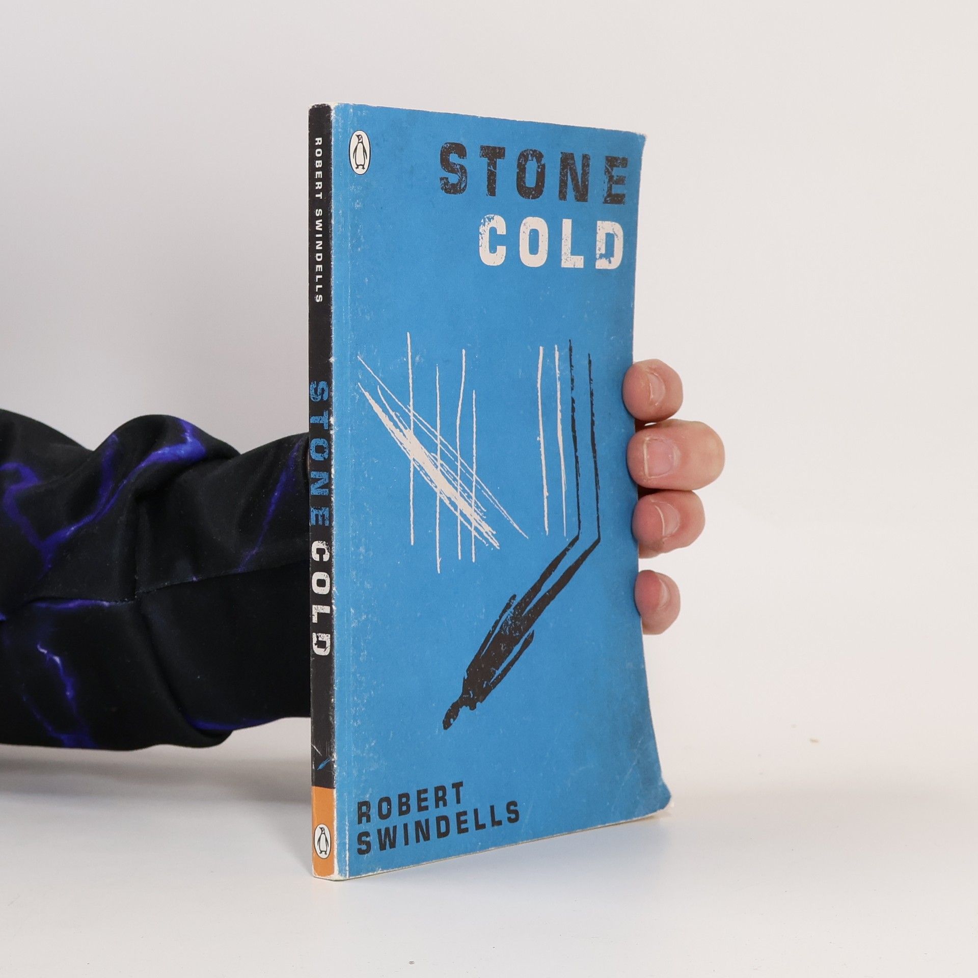 Robert E. Swindells Stone Cold