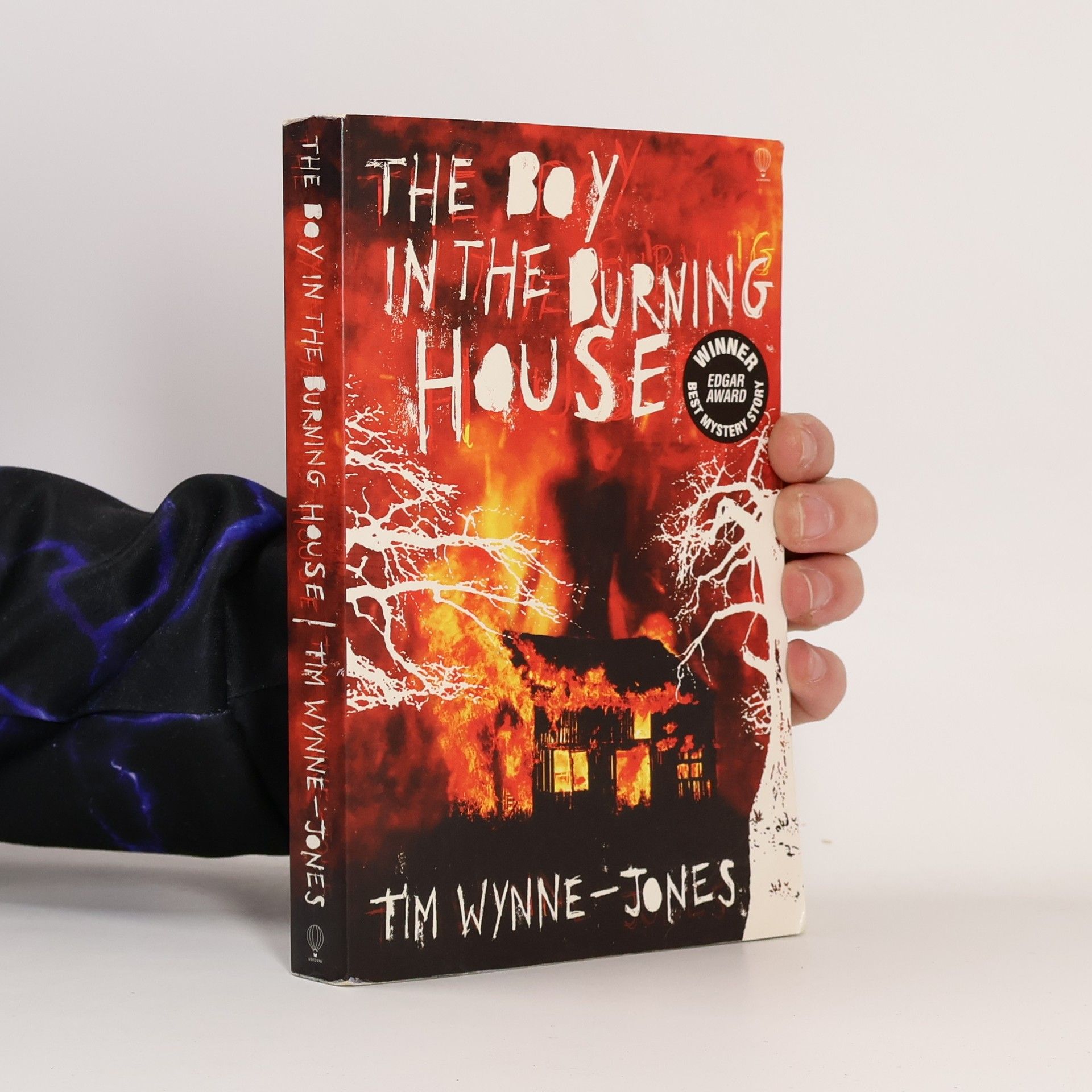Tim Wynne-Jones The Boy in the Burning House