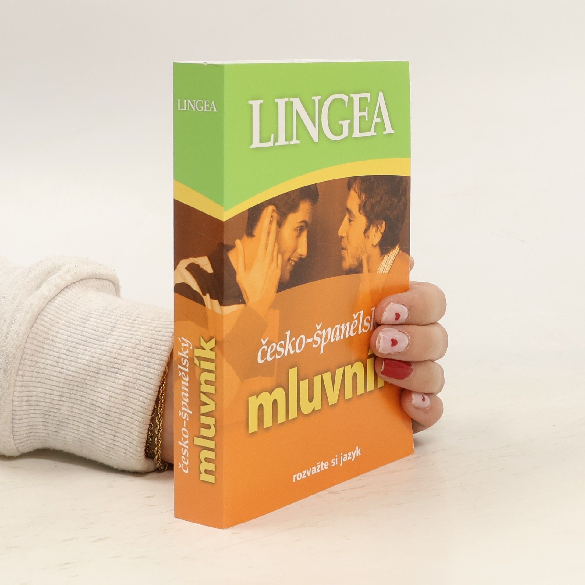 Autorenkollektiv Česko-španělský mluvník