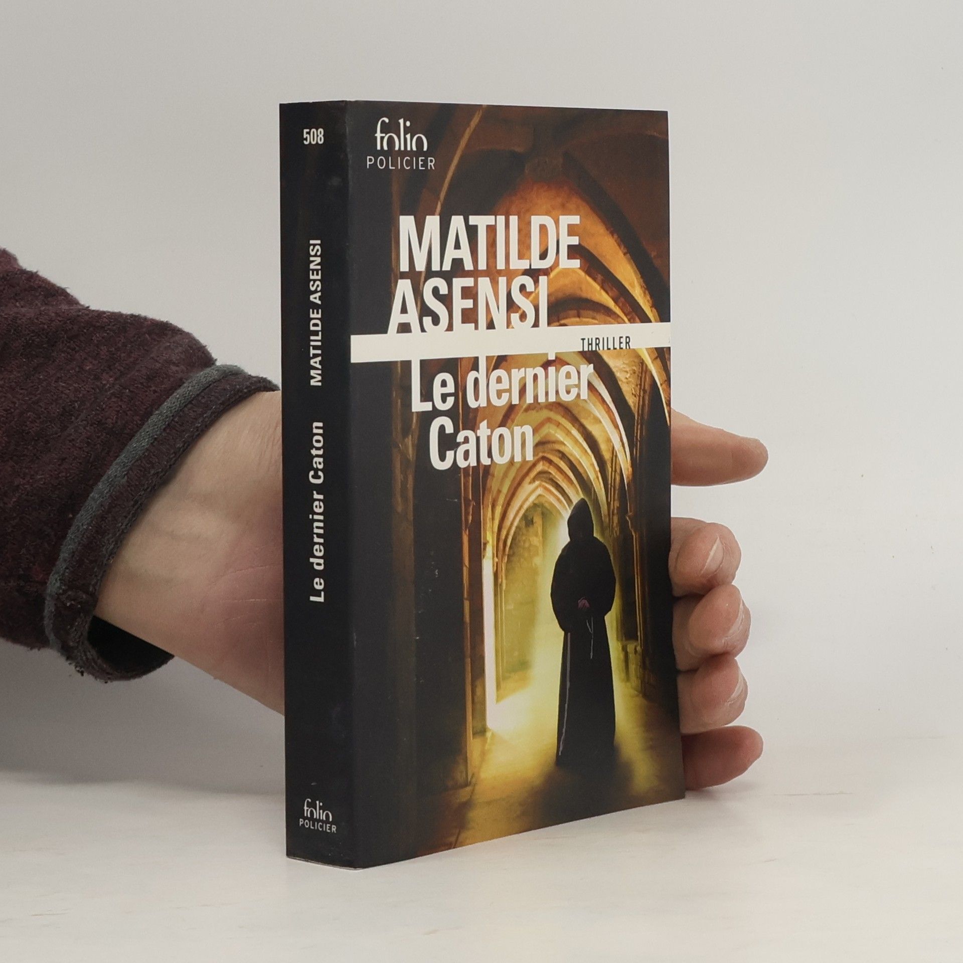 Matilde Asensi Le dernier Caton