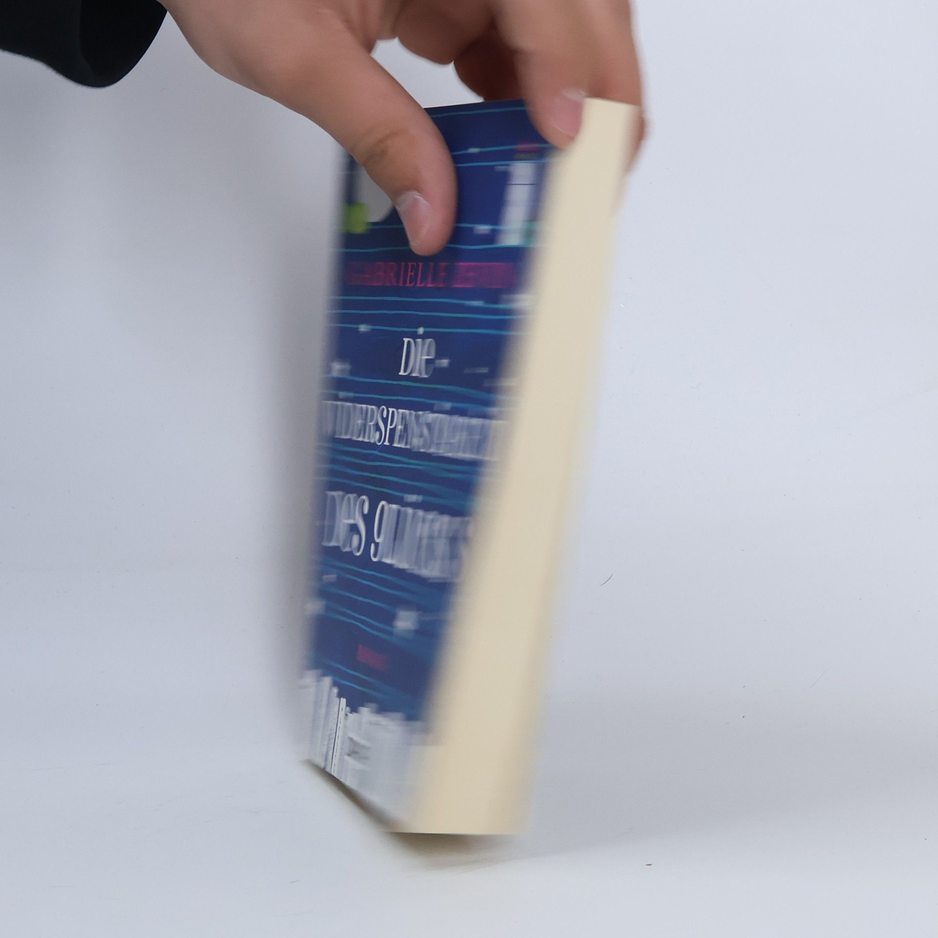 Gabrielle Zevin Die Widerspenstigkeit des Glücks