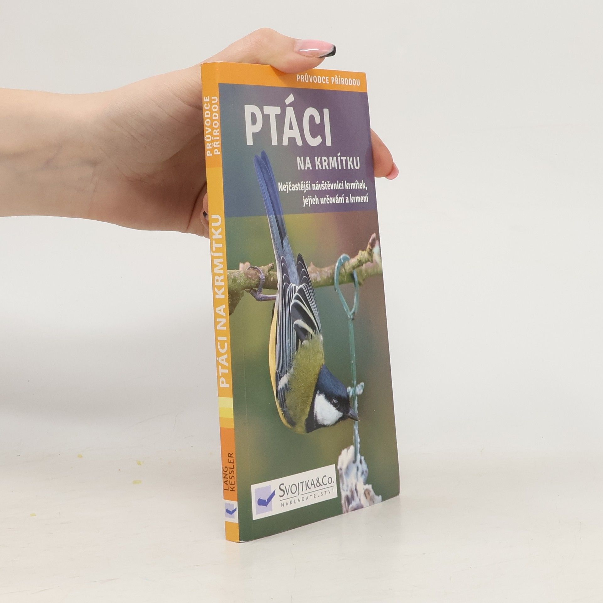 Angelika Lang Ptáci na krmítku