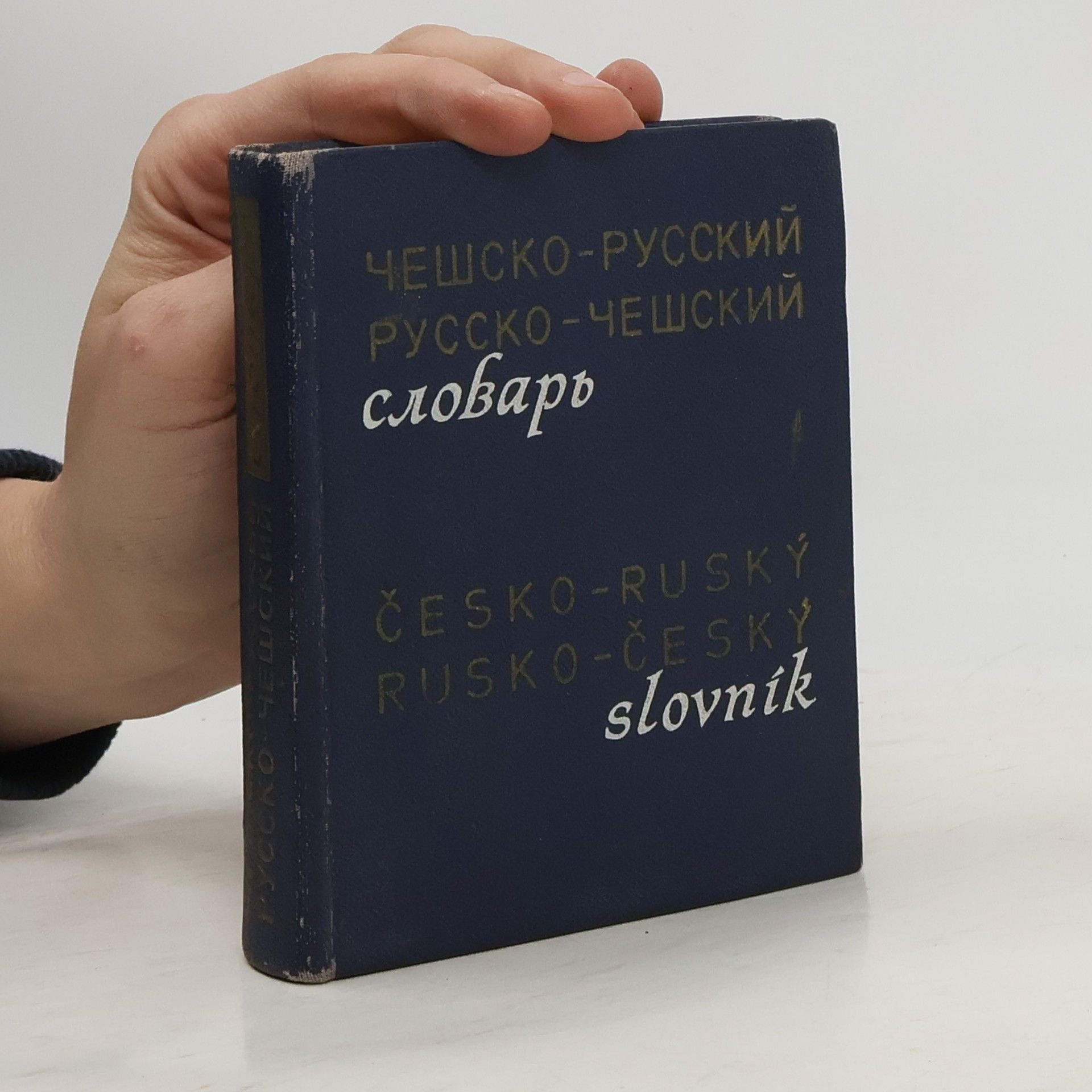 Autorenkollektiv Чешско-русский и русско-чешский словарь. Česko-ruský a rusko-český slovník