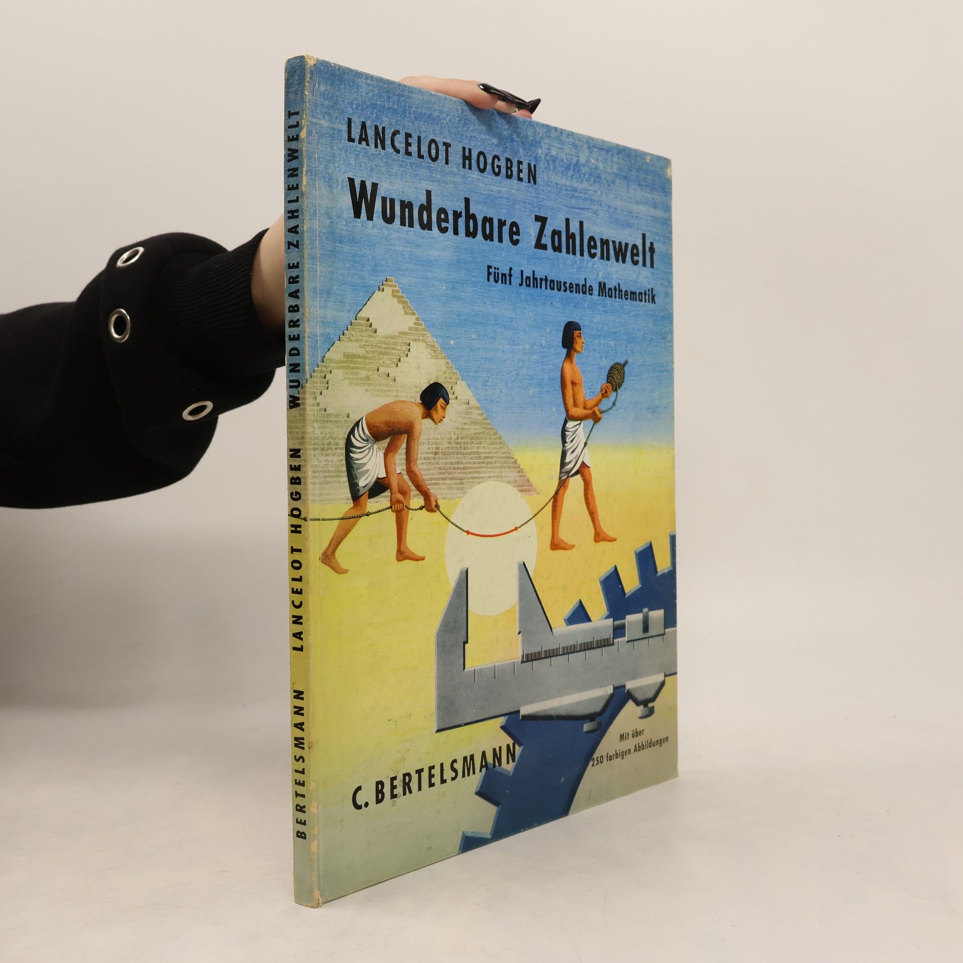 Lancelot Hogben Wunderbare Zahlenwelt