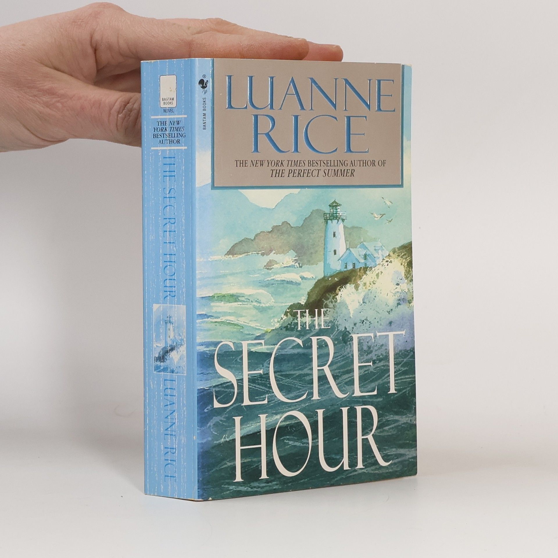 Luanne Rice The Secret Hour