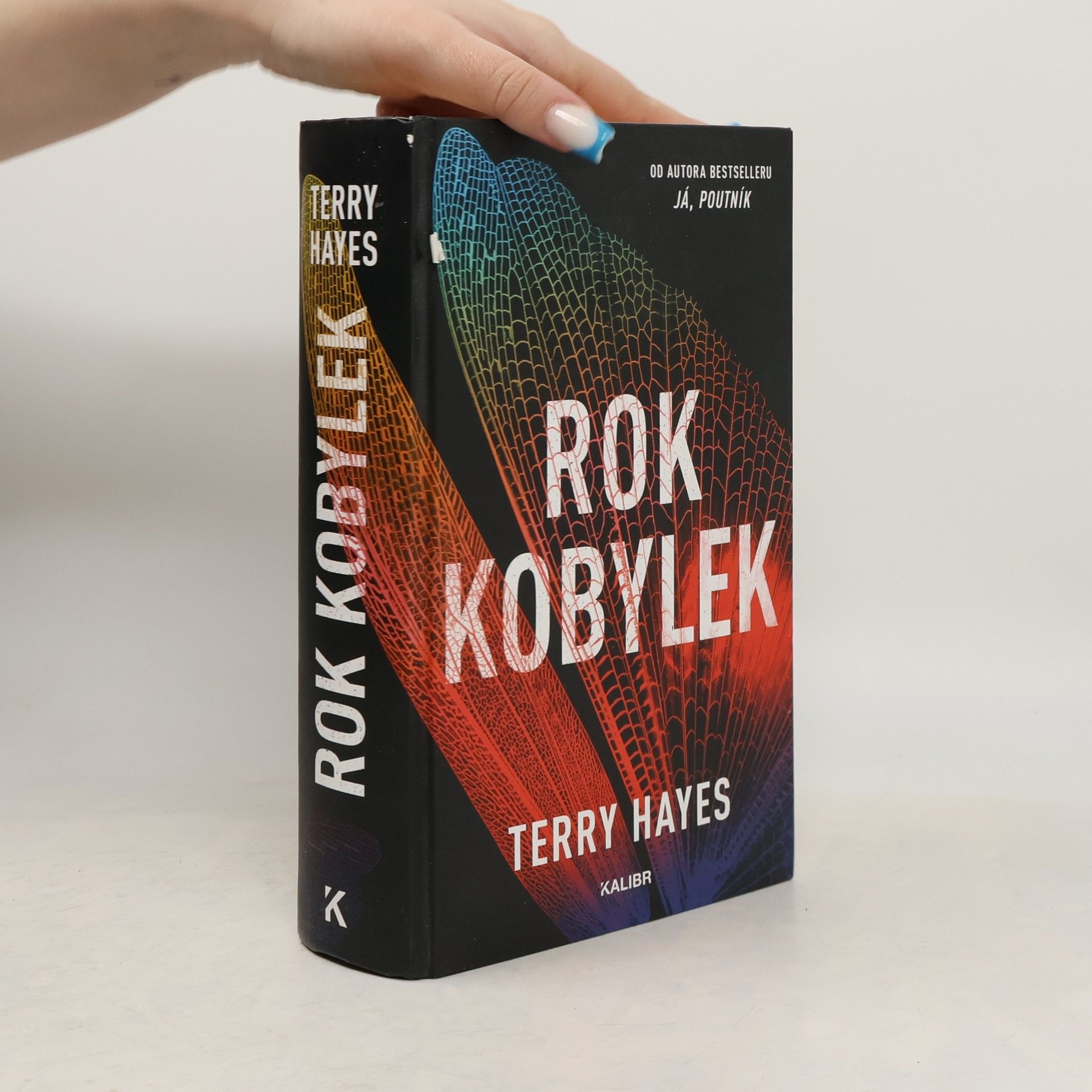 Terry Hayes Rok kobylek