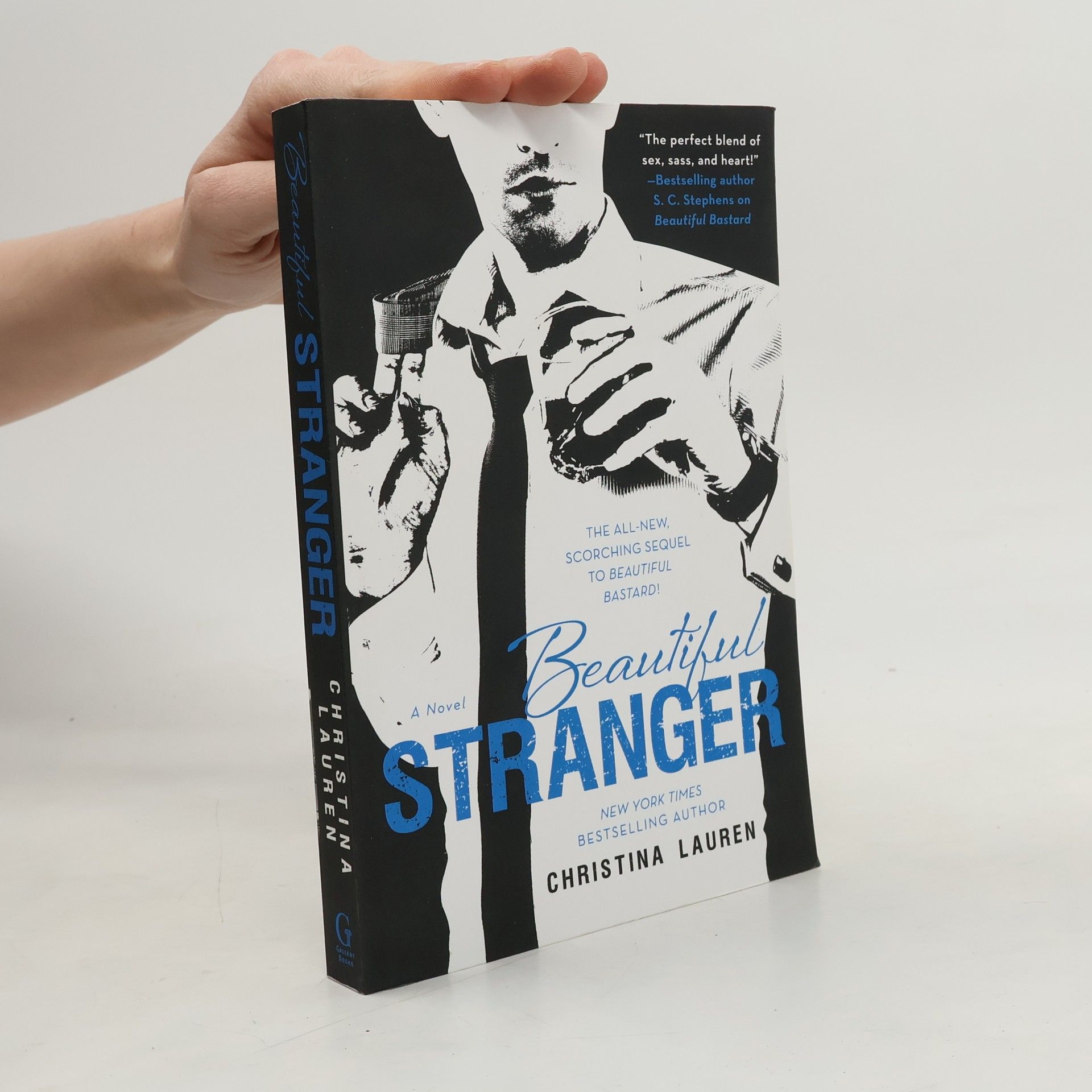 Christina Lauren Beautiful Stranger