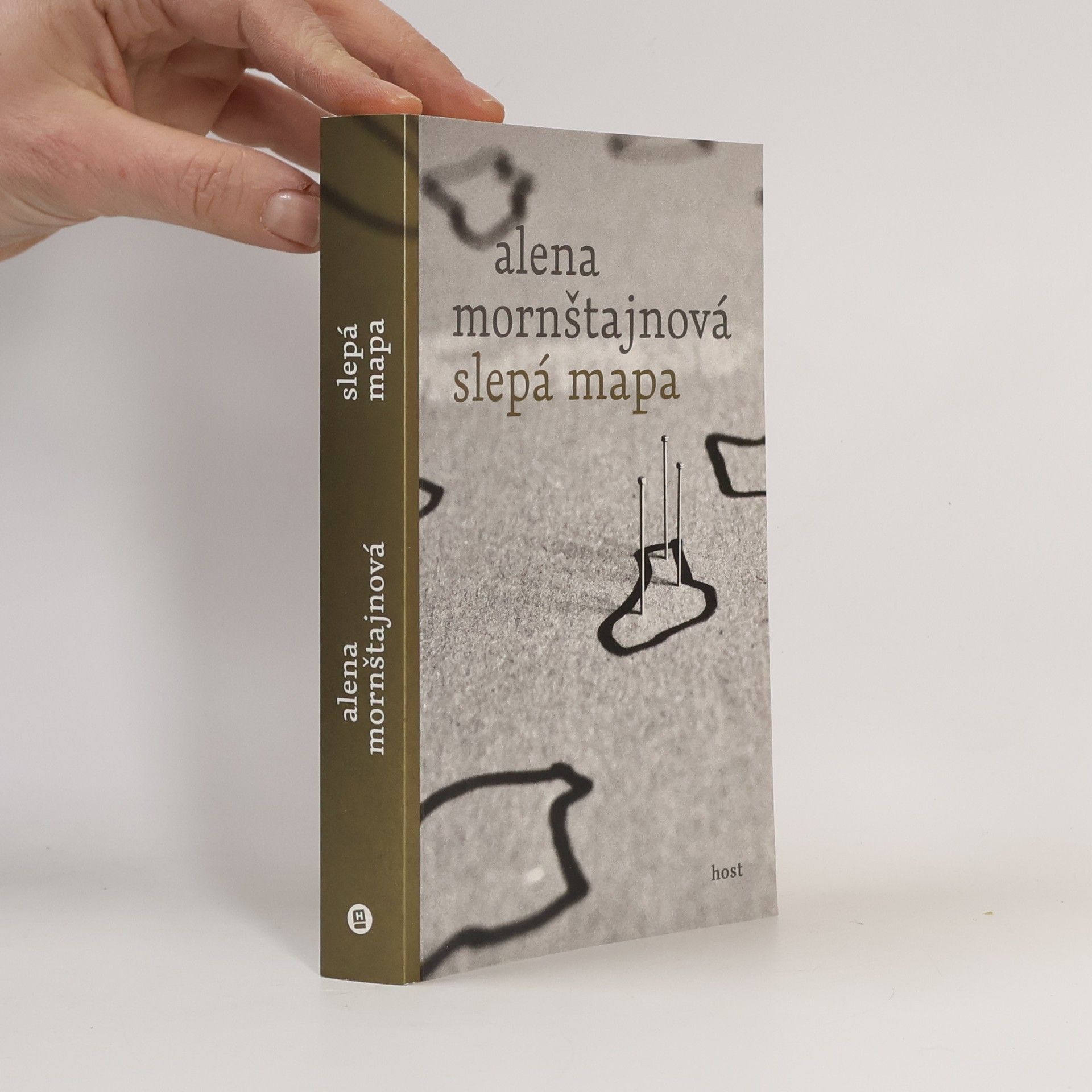 Alena Mornštajnová Slepá mapa