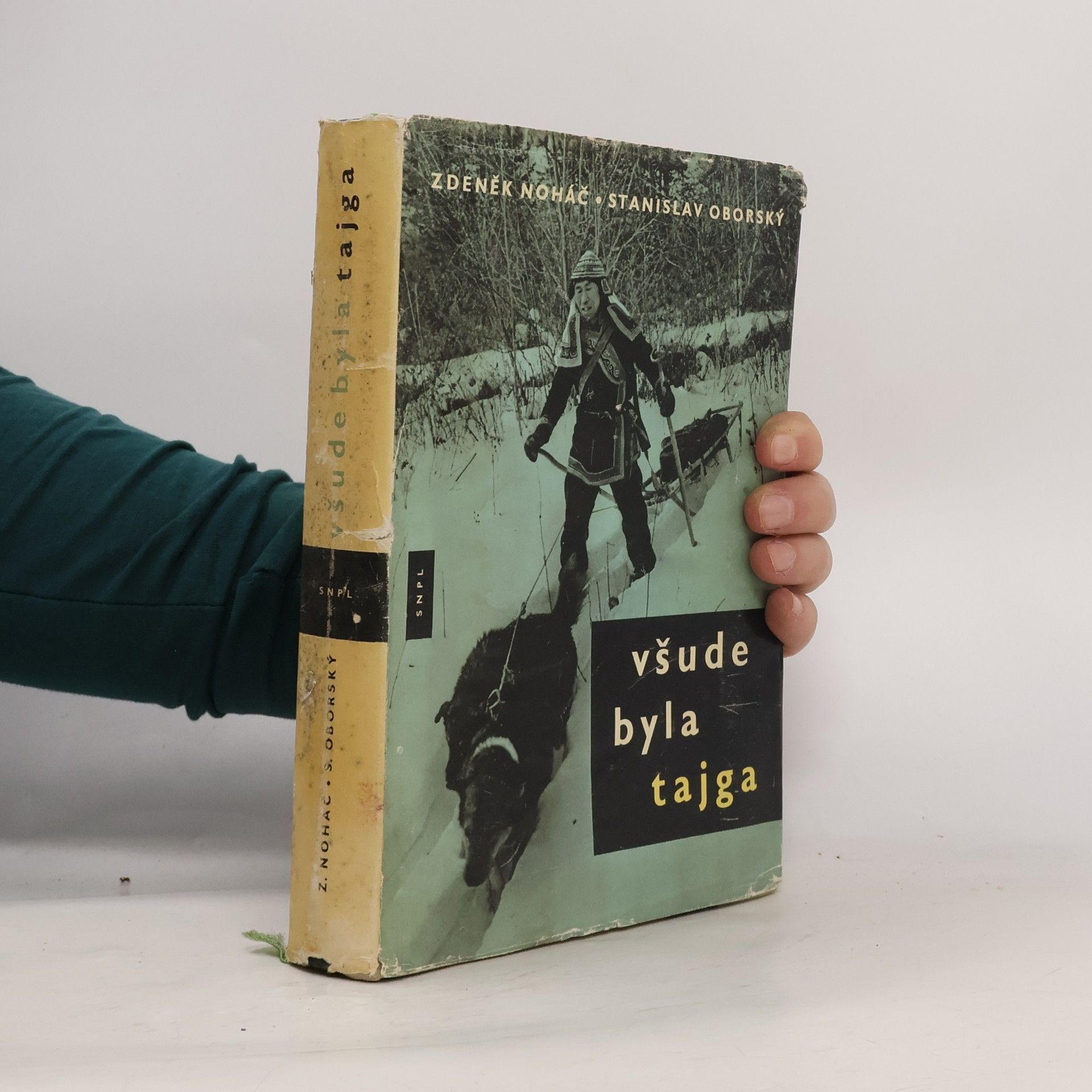 Všude byla tajga