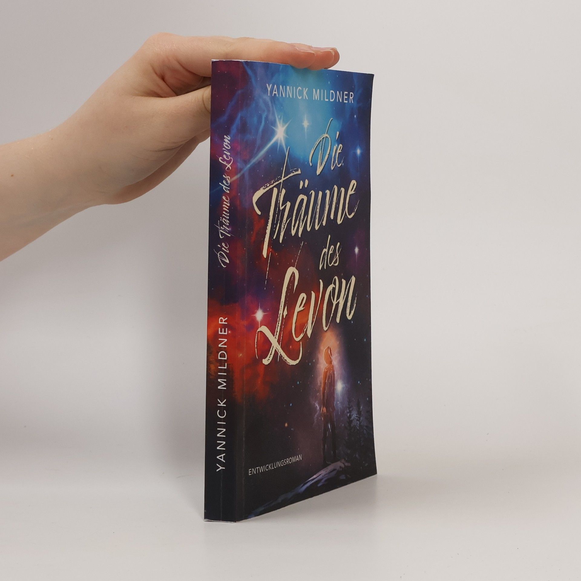 Yannick Mildner Die Träume des Levon