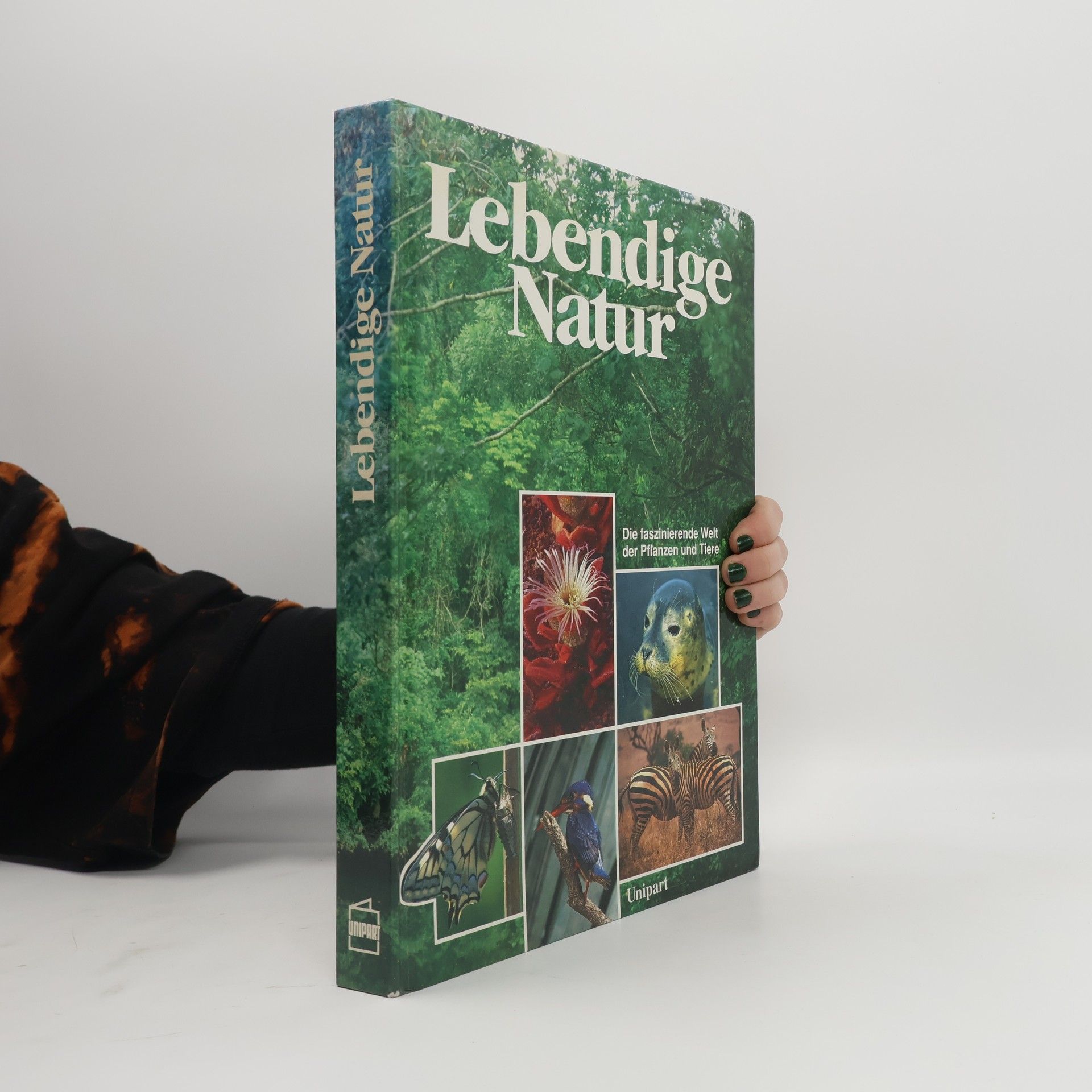 Teresa Farino Lebendige Natur