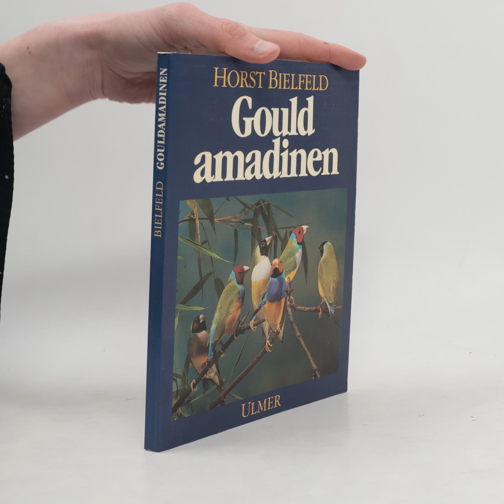 Horst Bielfeld Gouldamadinen