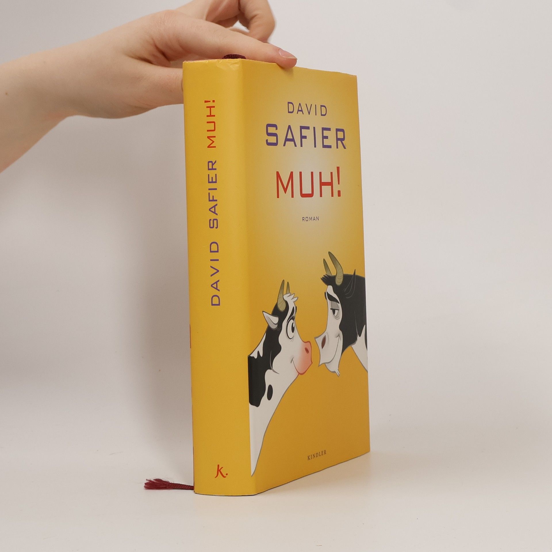 David Safier Muh!