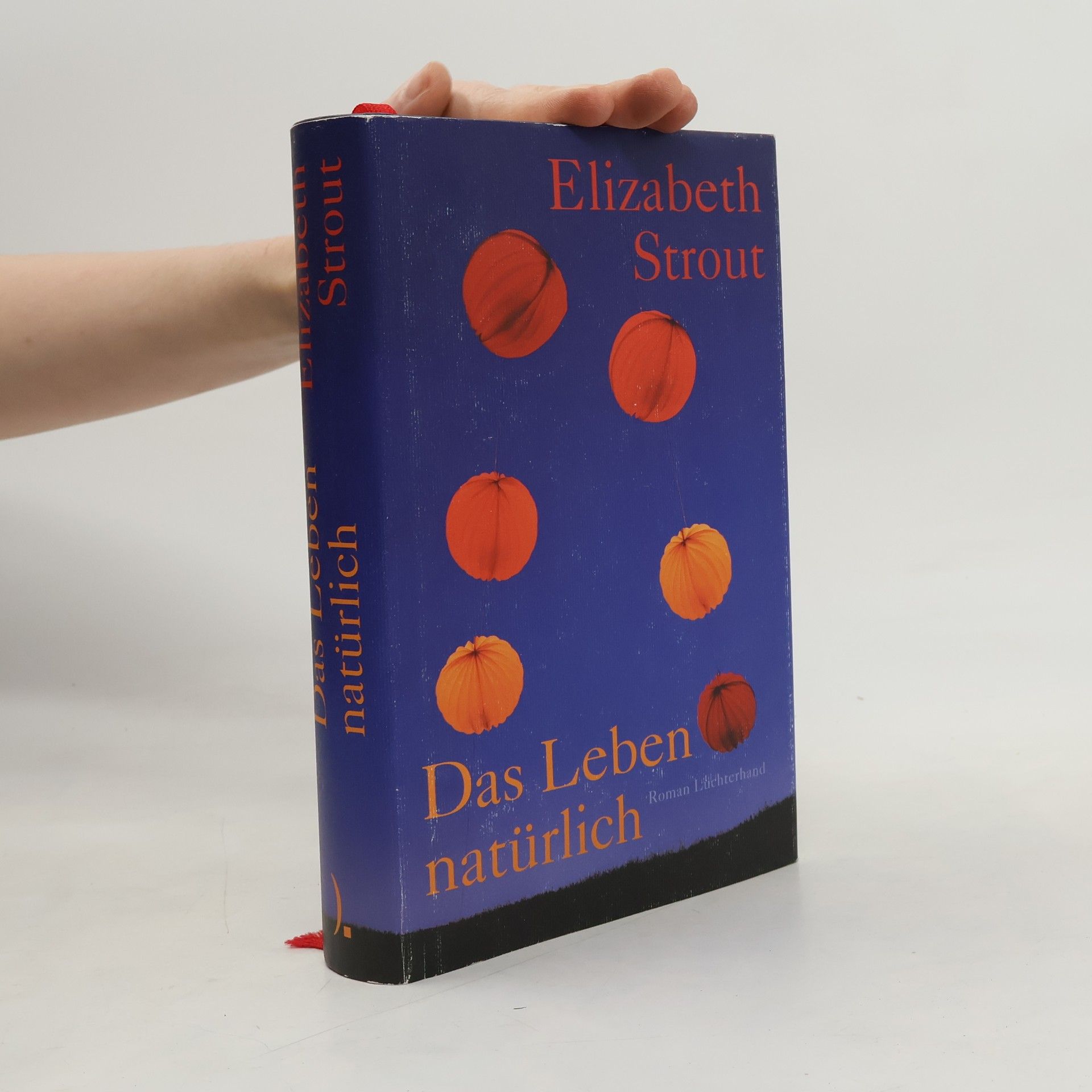 Elizabeth Strout Das Leben, natürlich