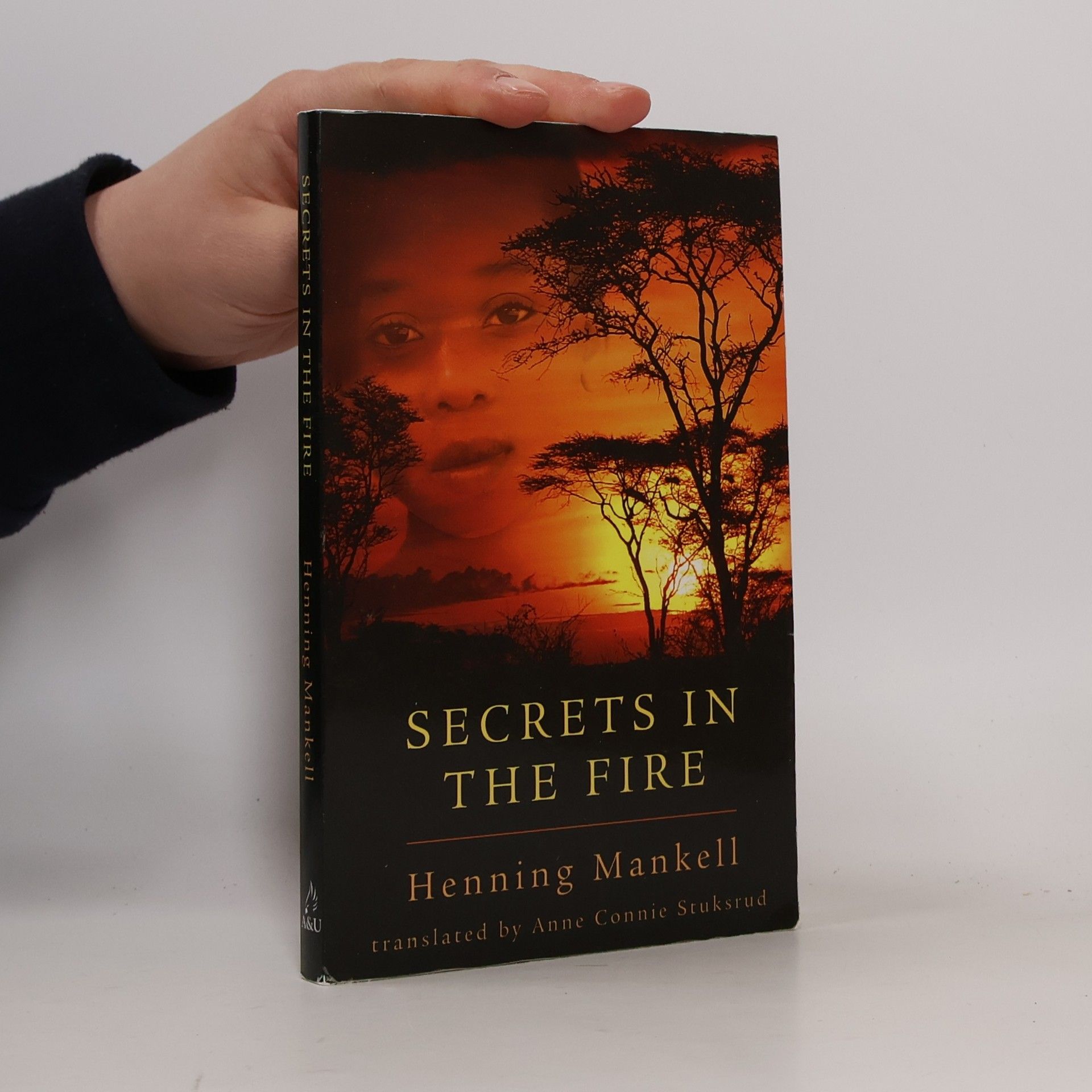 Henning Mankell Secrets in the Fire