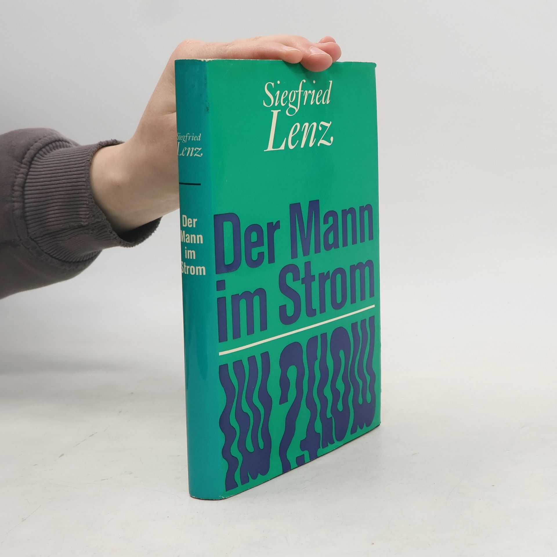 Siegfried Lenz Der Mann im Strom