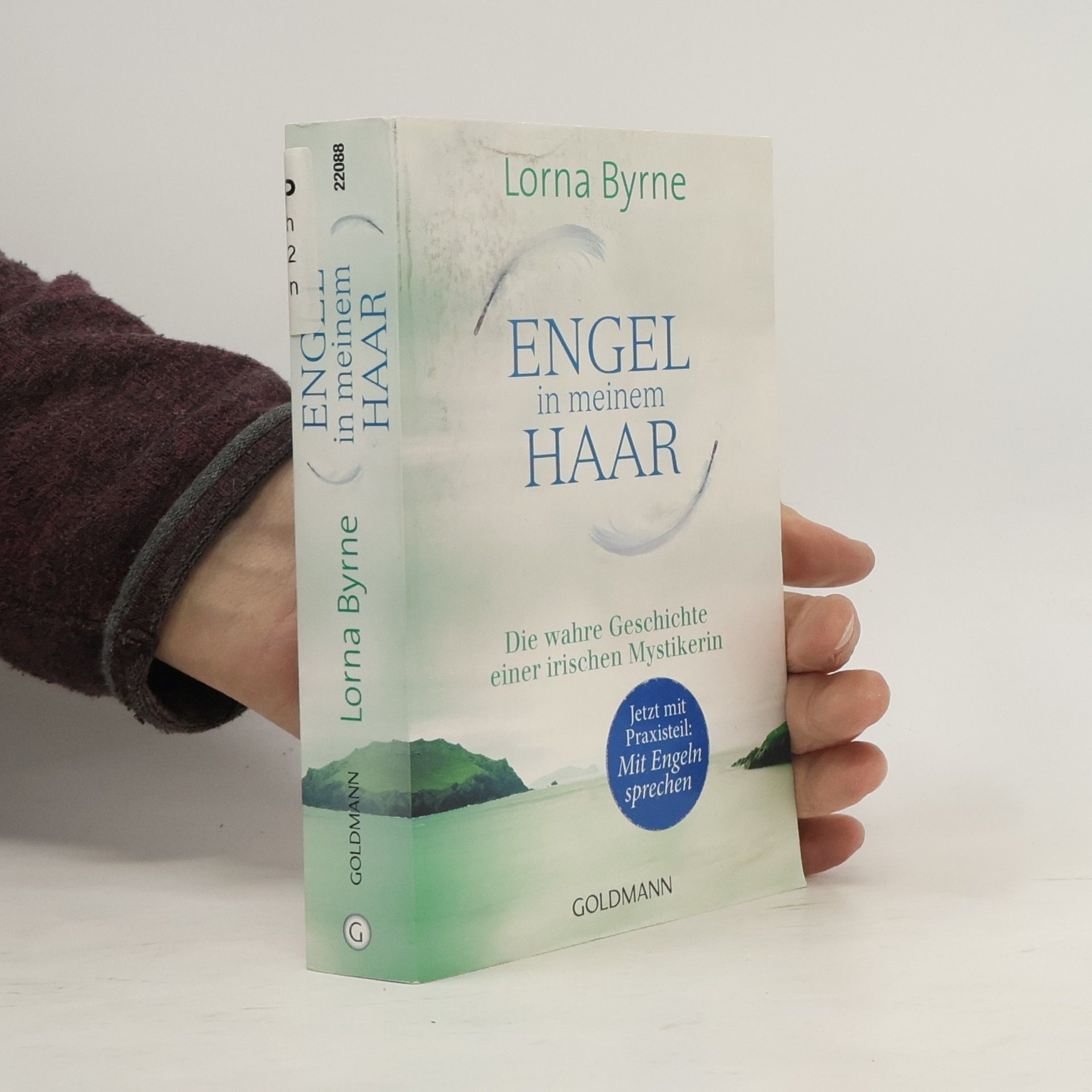 Lorna Byrne Engel in meinem Haar