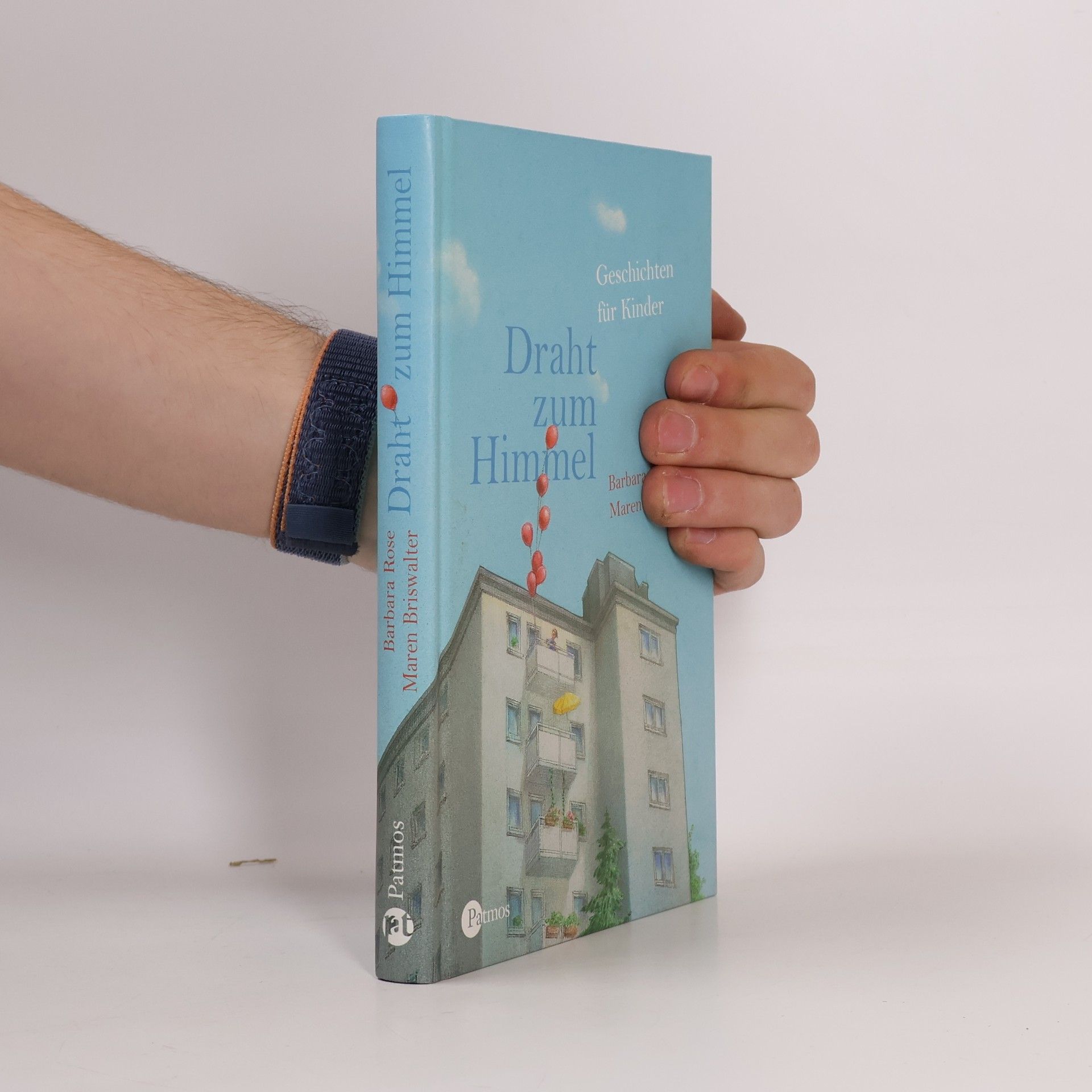 Barbara Rose Draht zum Himmel