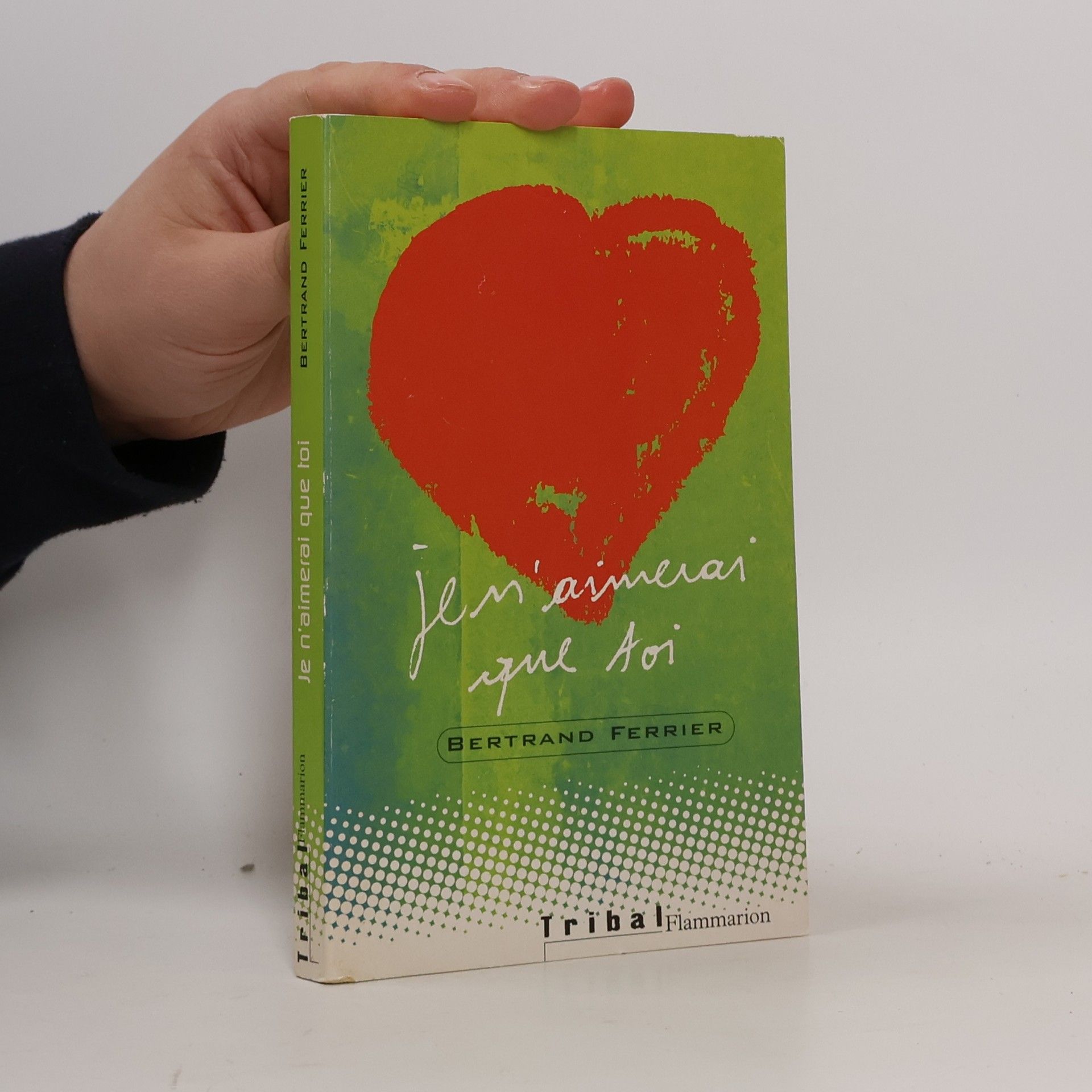 Bertrand Ferrier Je n'aimerai que toi