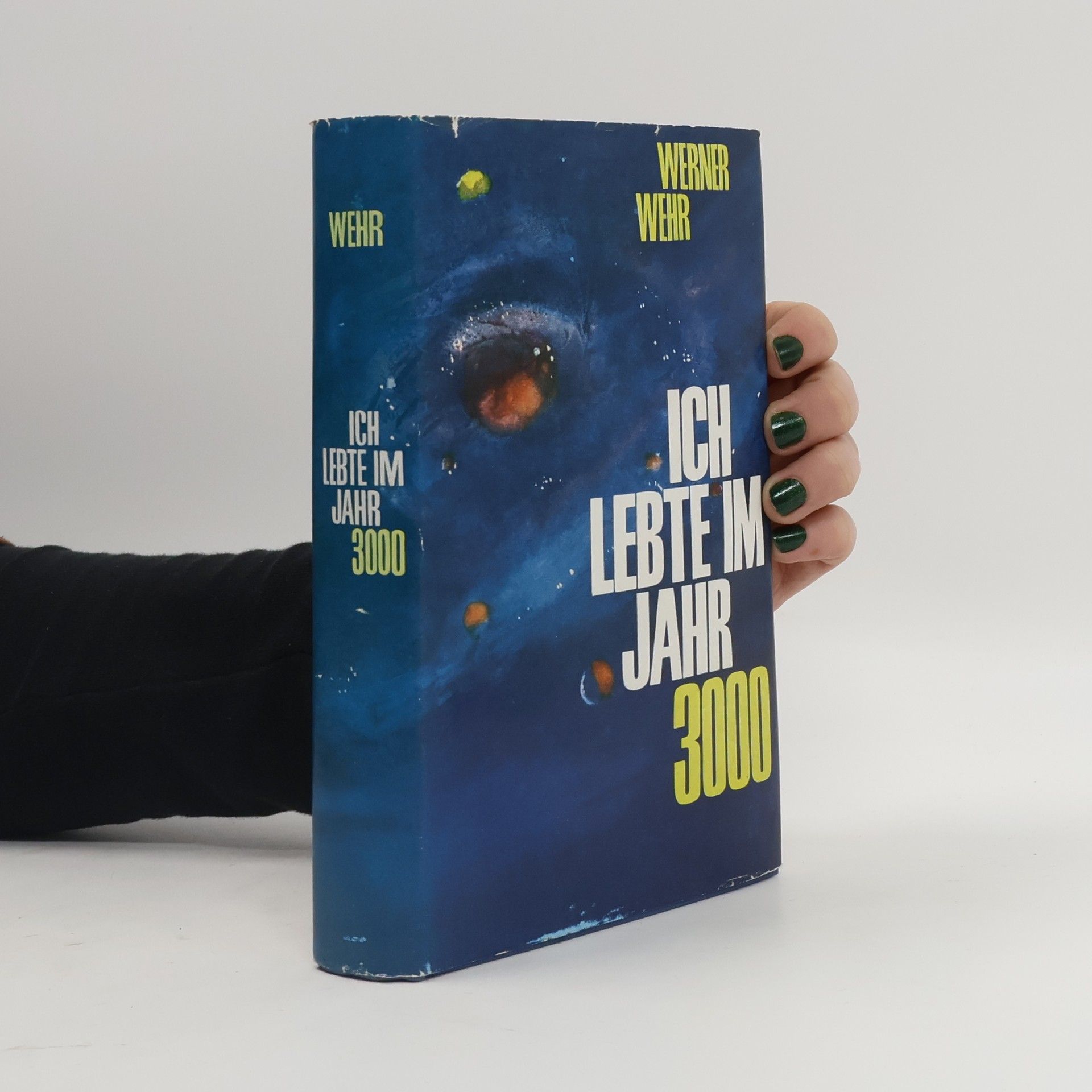 Werner Wehr Ich lebte im Jahr 3000