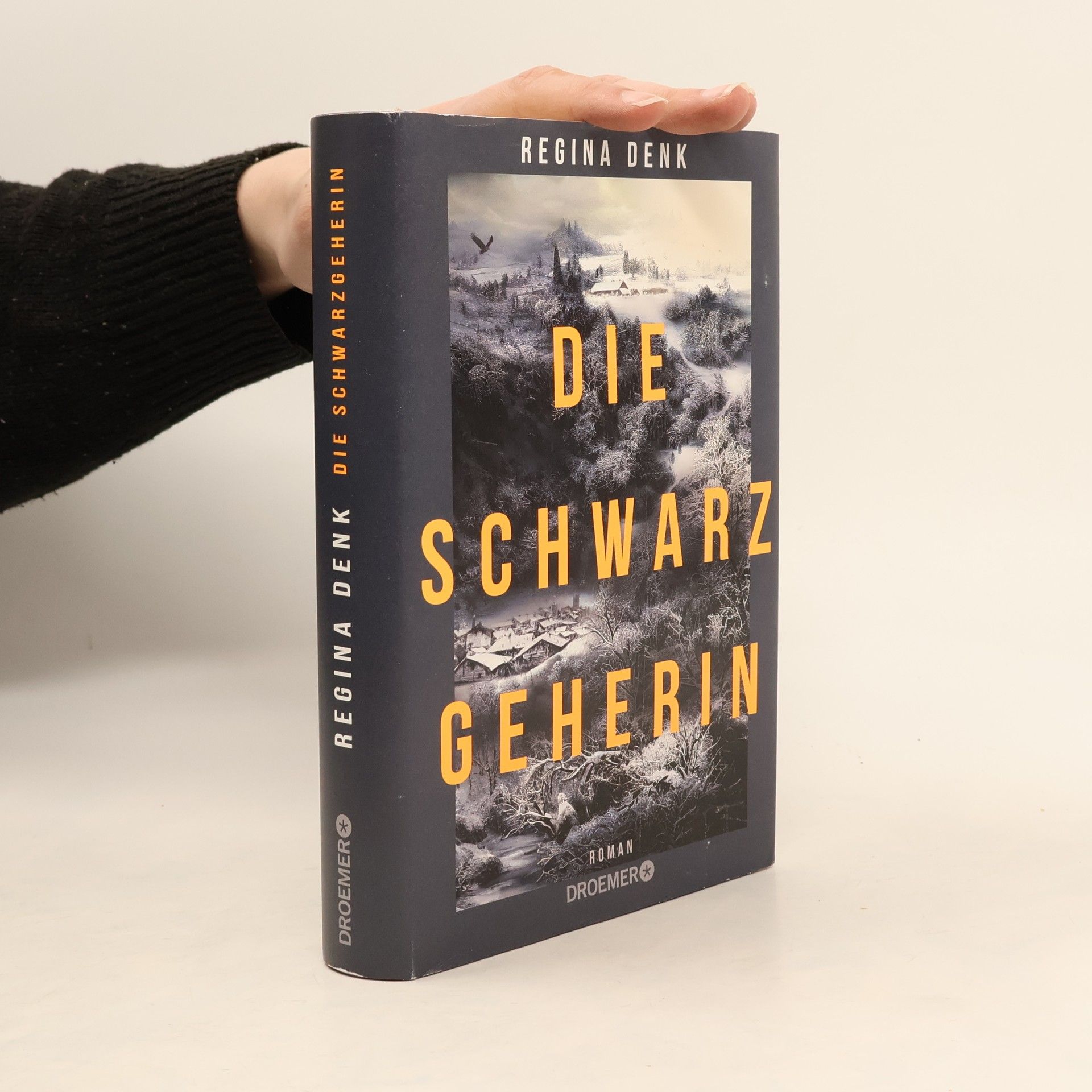 Regina Denk Die Schwarzgeherin