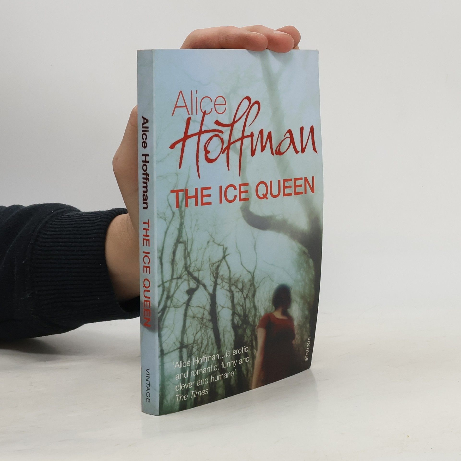 Alice Hoffman The Ice Queen