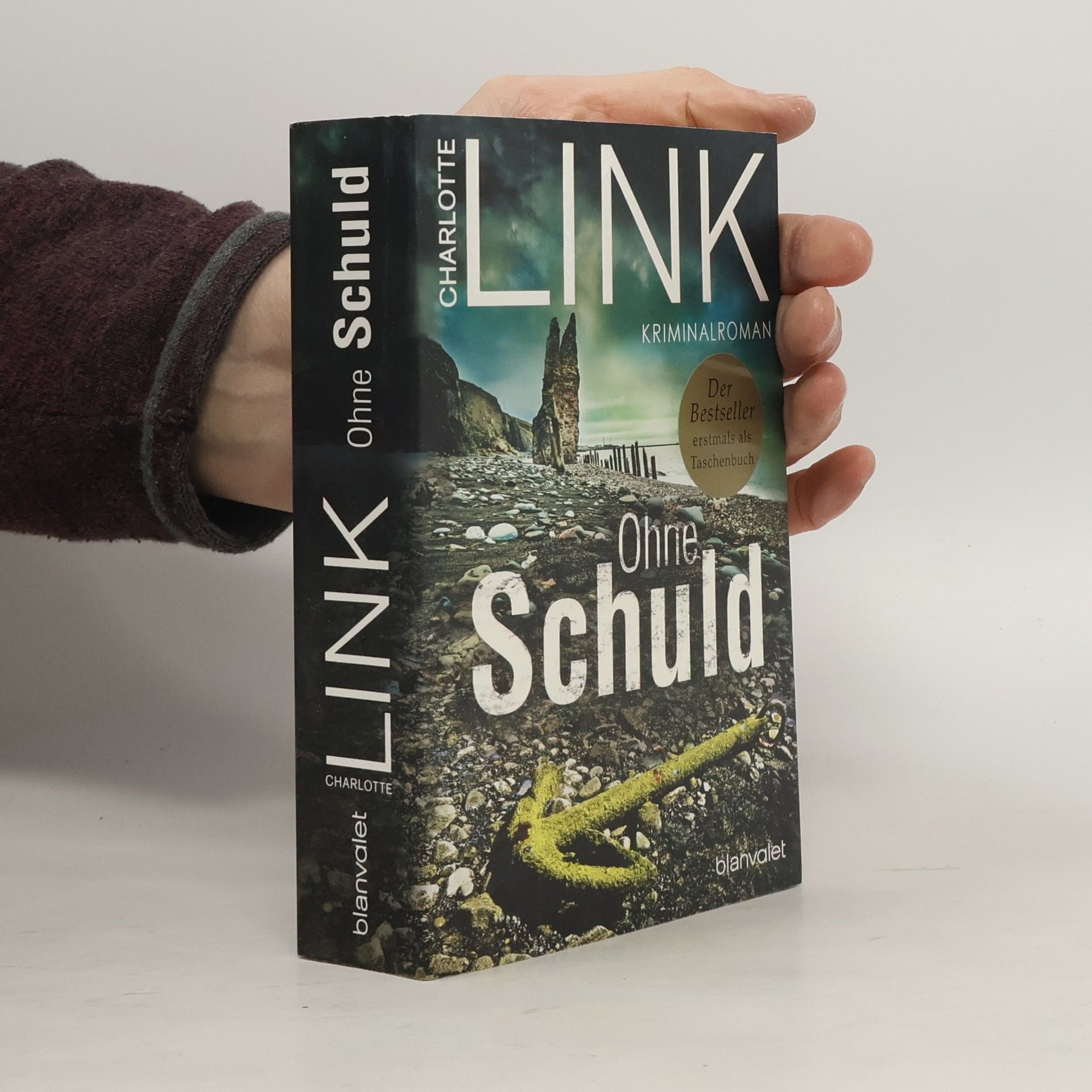 Charlotte Link Ohne Schuld