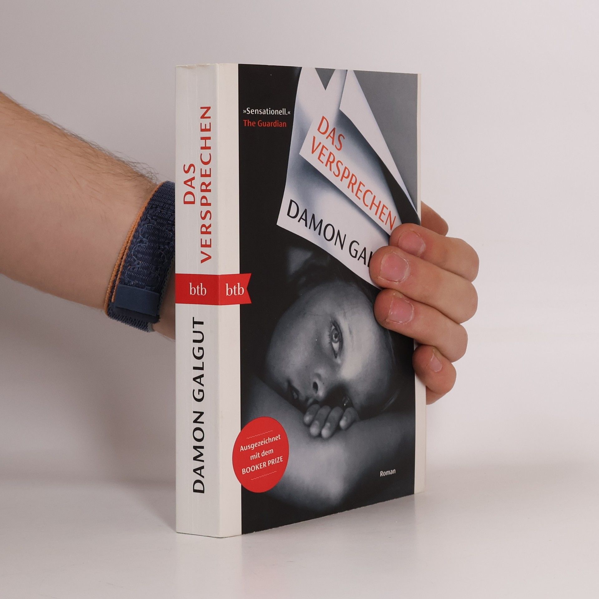 Damon Galgut Das Versprechen
