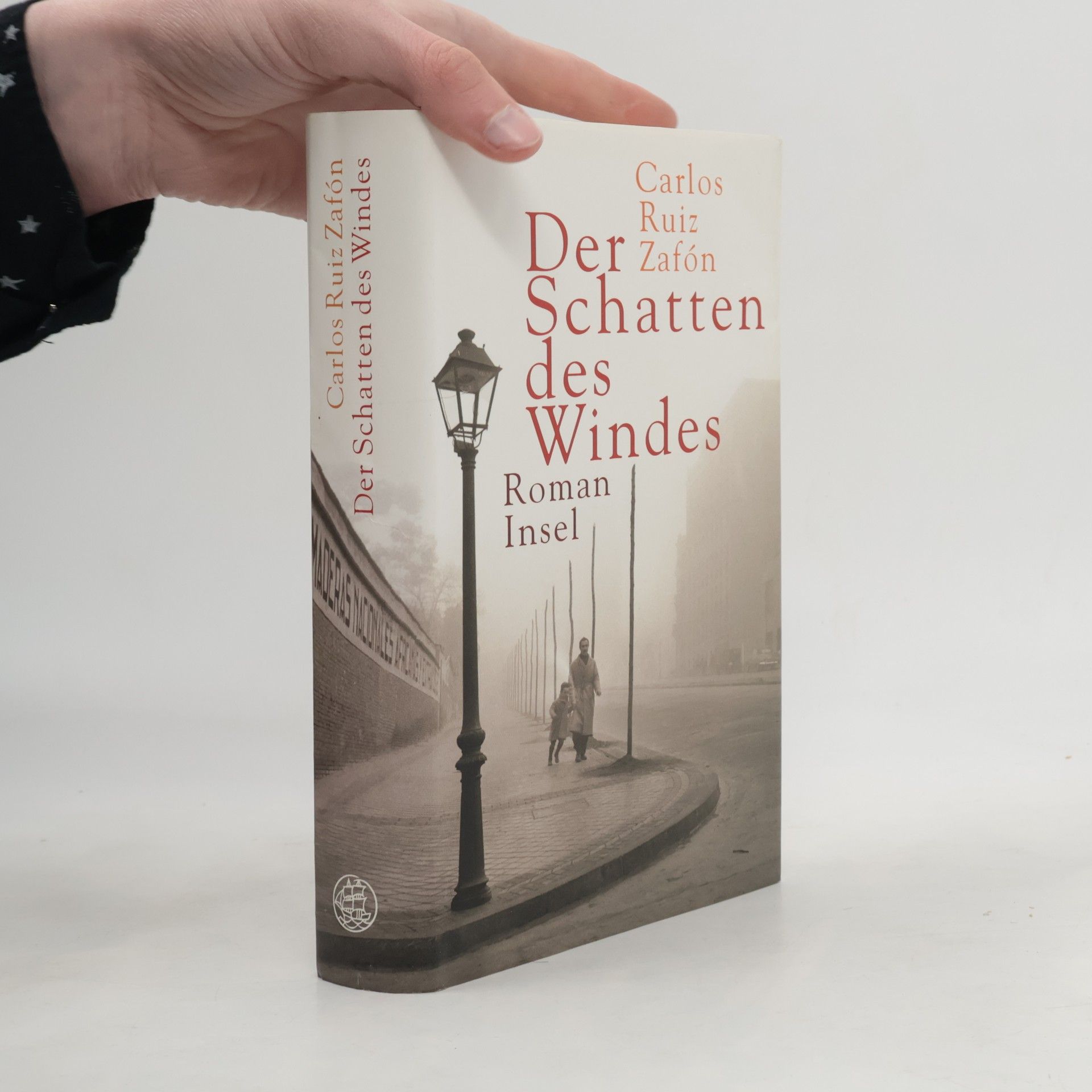 Carlos Ruiz Zafón Der Schatten des Windes